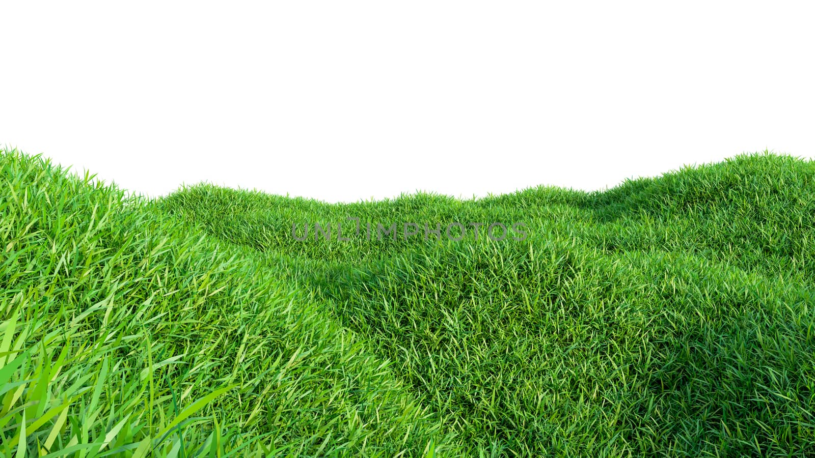Green grass field isolated on white background. 3d illustration
