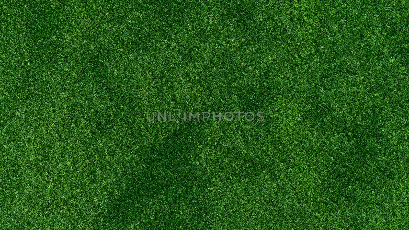 Grass background, fresh green fields, isolated on white background. 3d illustration