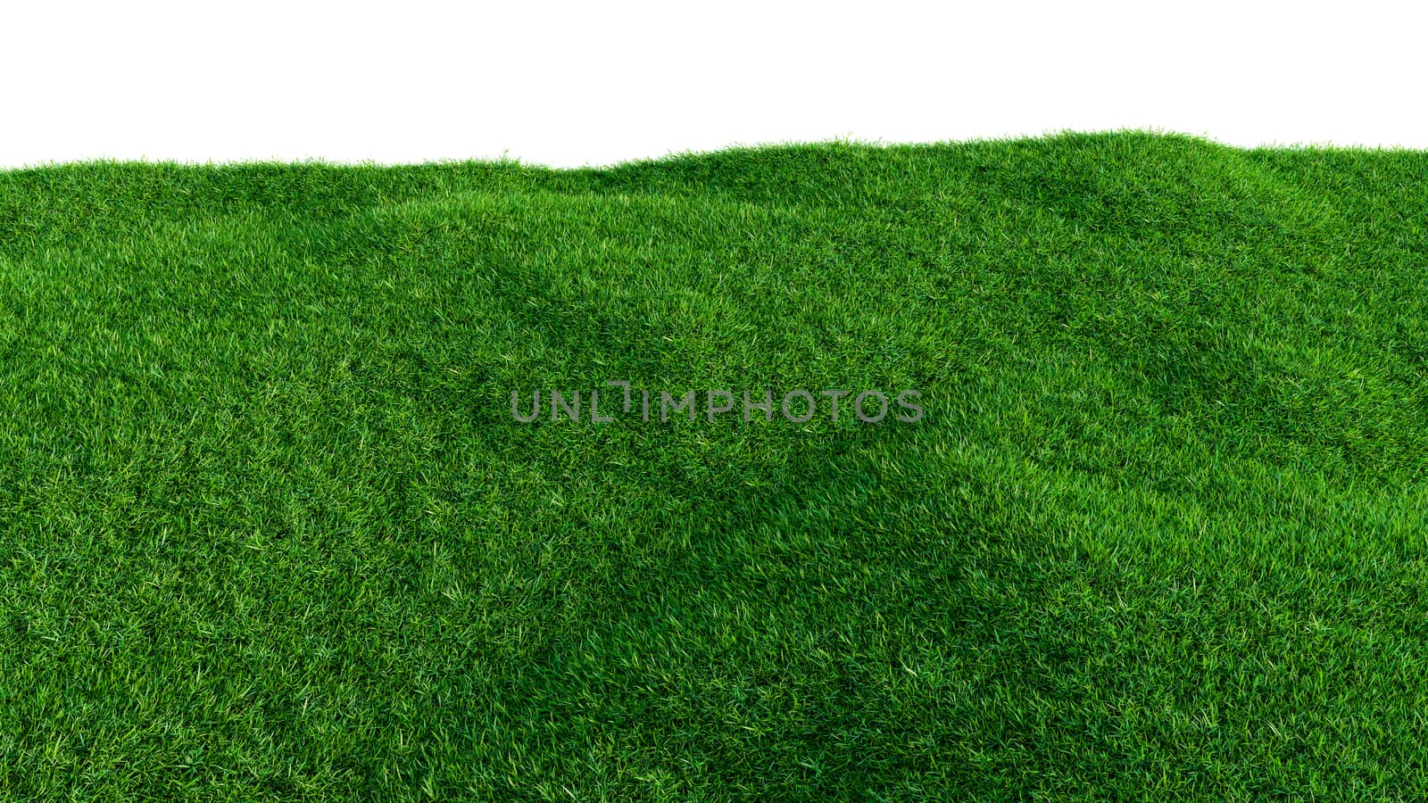 Green grass field on small hills, isolated on white background. 3d illustration