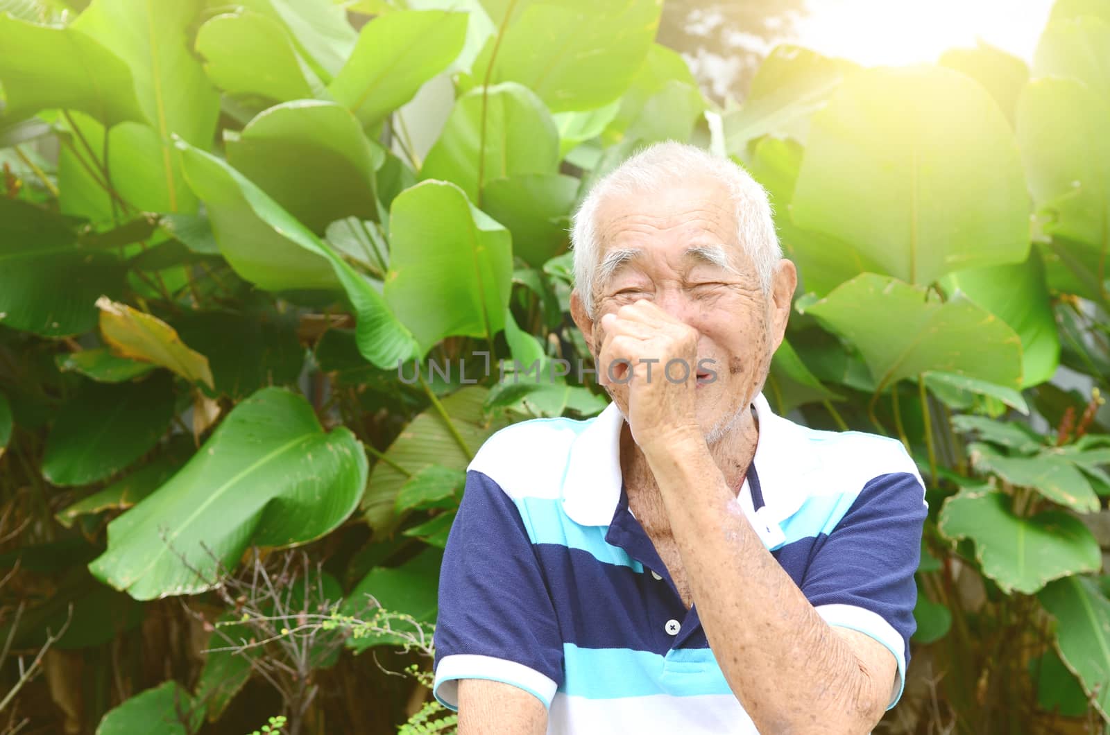 Portrait Of Asian Senior Man In Park
