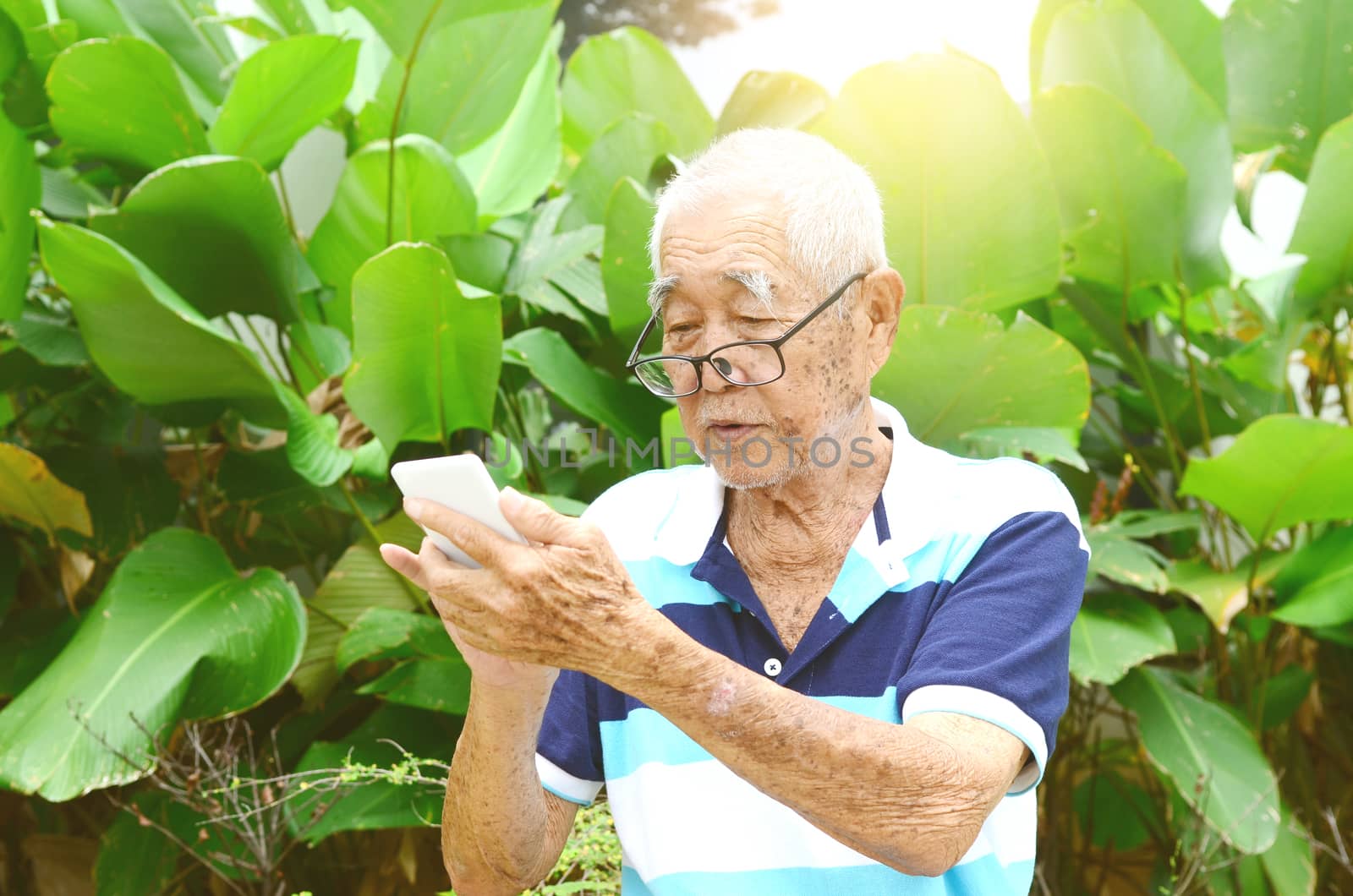 Modern technology, age and people concept. Asian Senior man using smart-phone at garden.