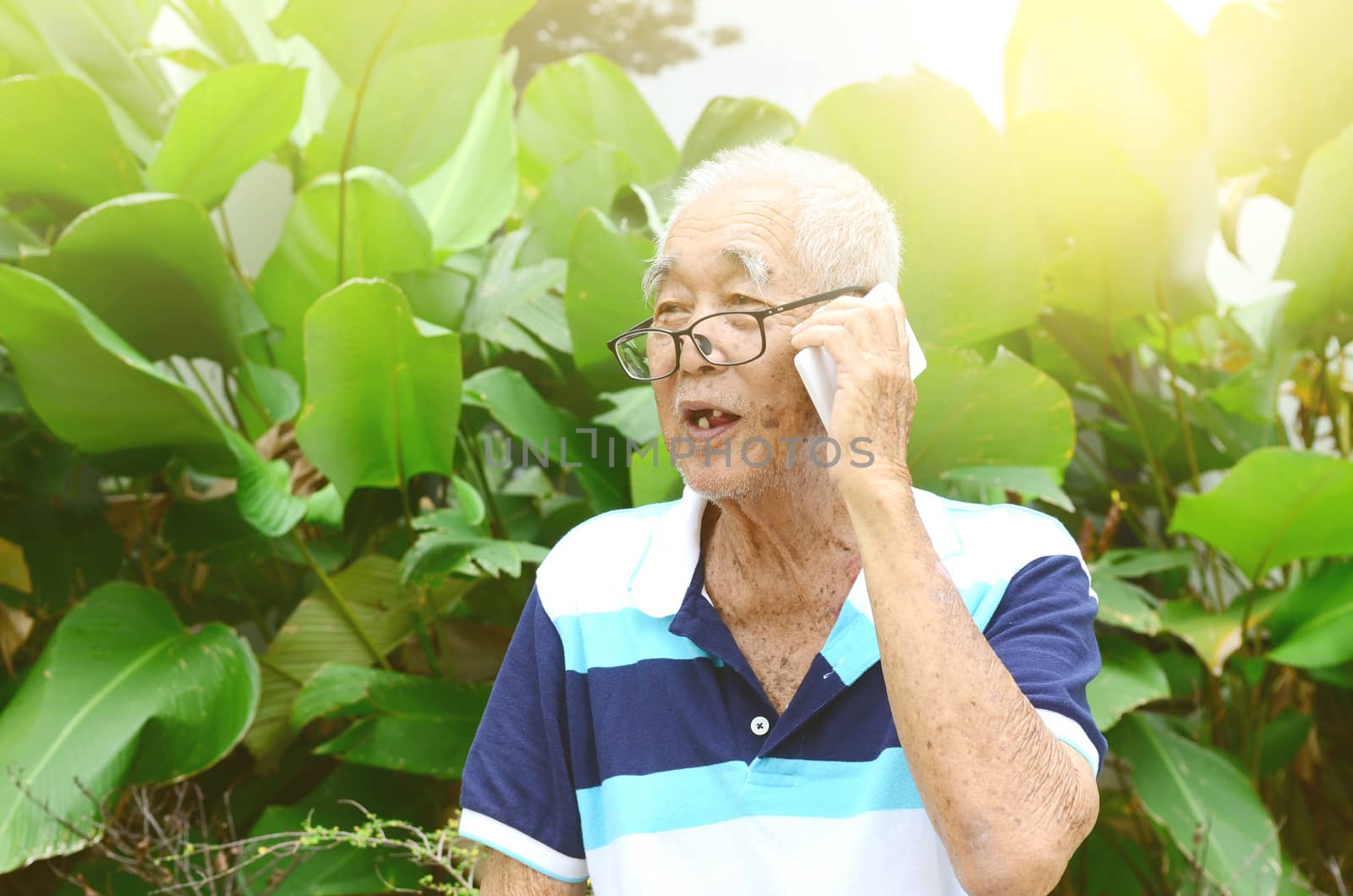 Modern technology, age and people concept. Asian Senior man using smart-phone at garden.