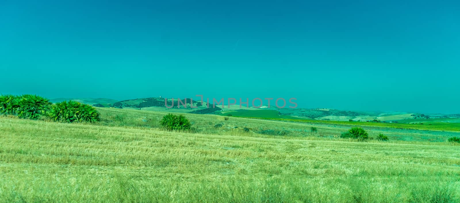 Greenery, Mountains, Farms and Fields on the outskirts of Ronda Spain, Europe on a hot summer day with clear blue skies