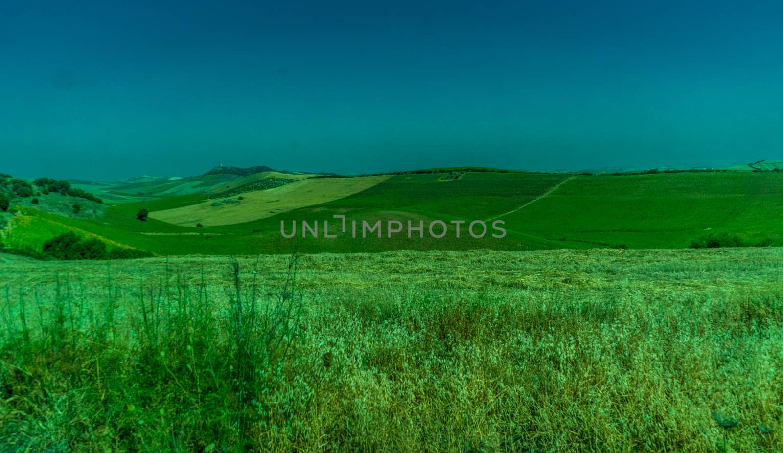 Greenery, Mountains, Farms and Fields on the outskirts of Ronda Spain, Europe on a hot summer day with clear blue skies