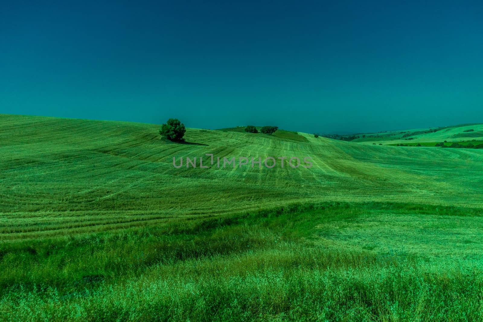 Greenery, Mountains, Farms and Fields on the outskirts of Ronda Spain, Europe on a hot summer day with clear blue skies