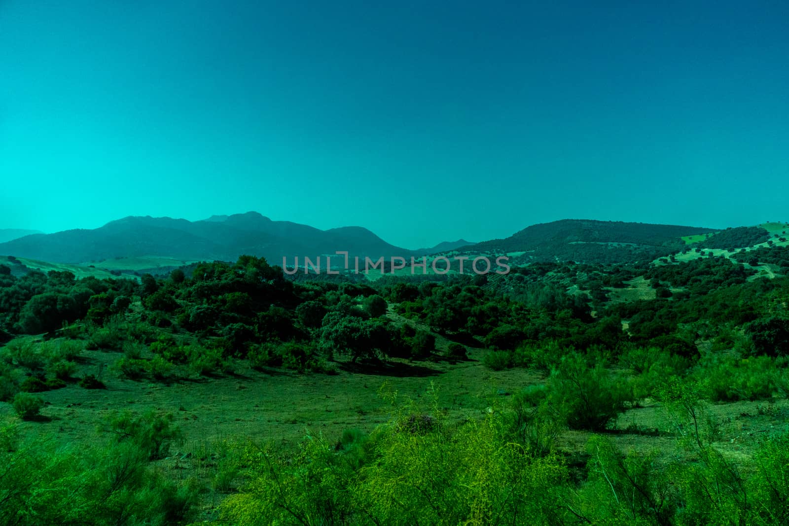 Greenery, Mountains, Farms and Fields on the outskirts of Ronda Spain, Europe on a hot summer day with clear blue skies