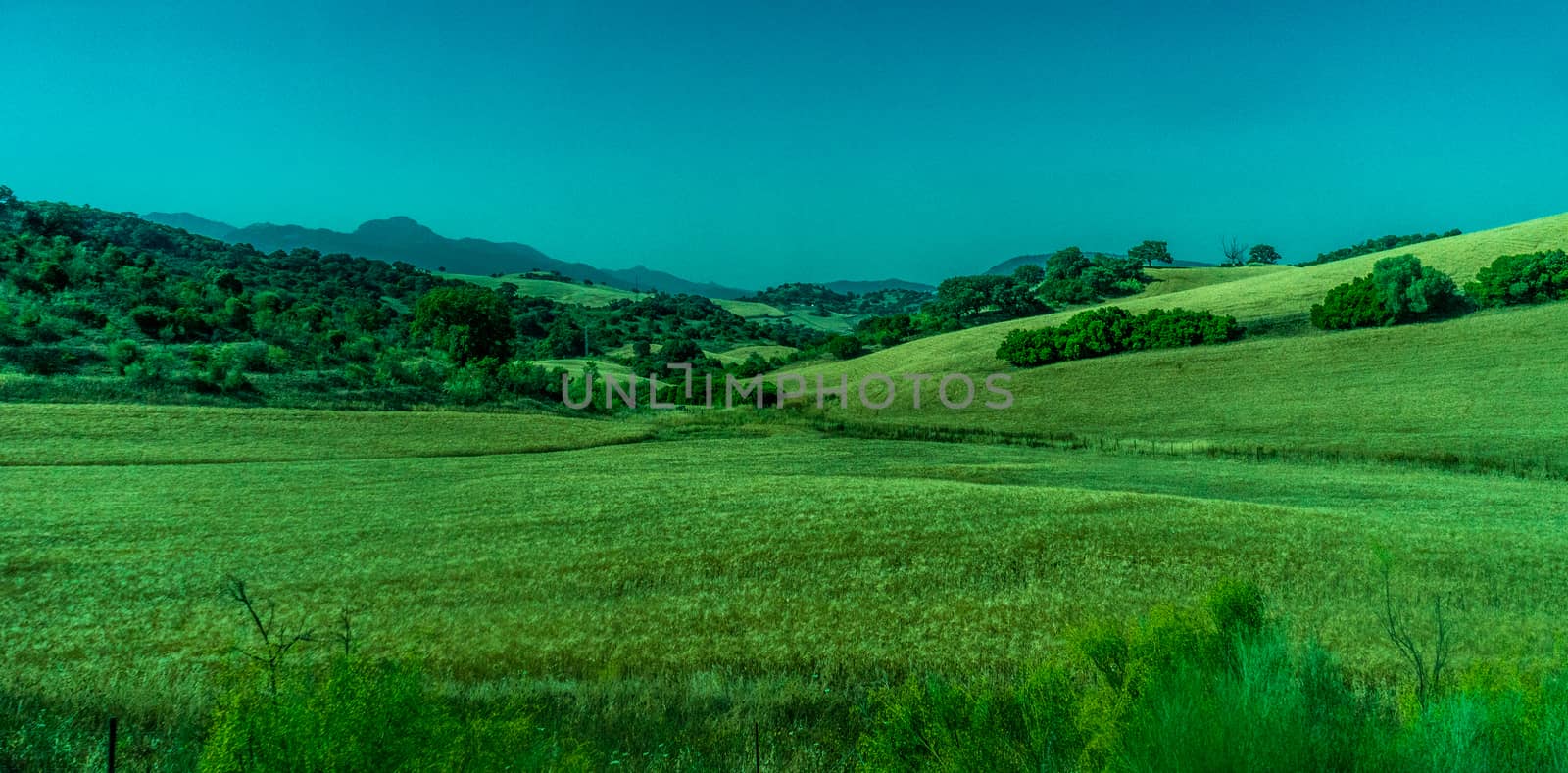 Greenery, Mountains, Farms and Fields on the outskirts of Ronda  by ramana16