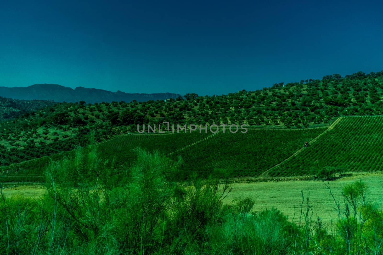 Greenery, Mountains, Farms and Fields on the outskirts of Ronda Spain, Europe on a hot summer day with clear blue skies