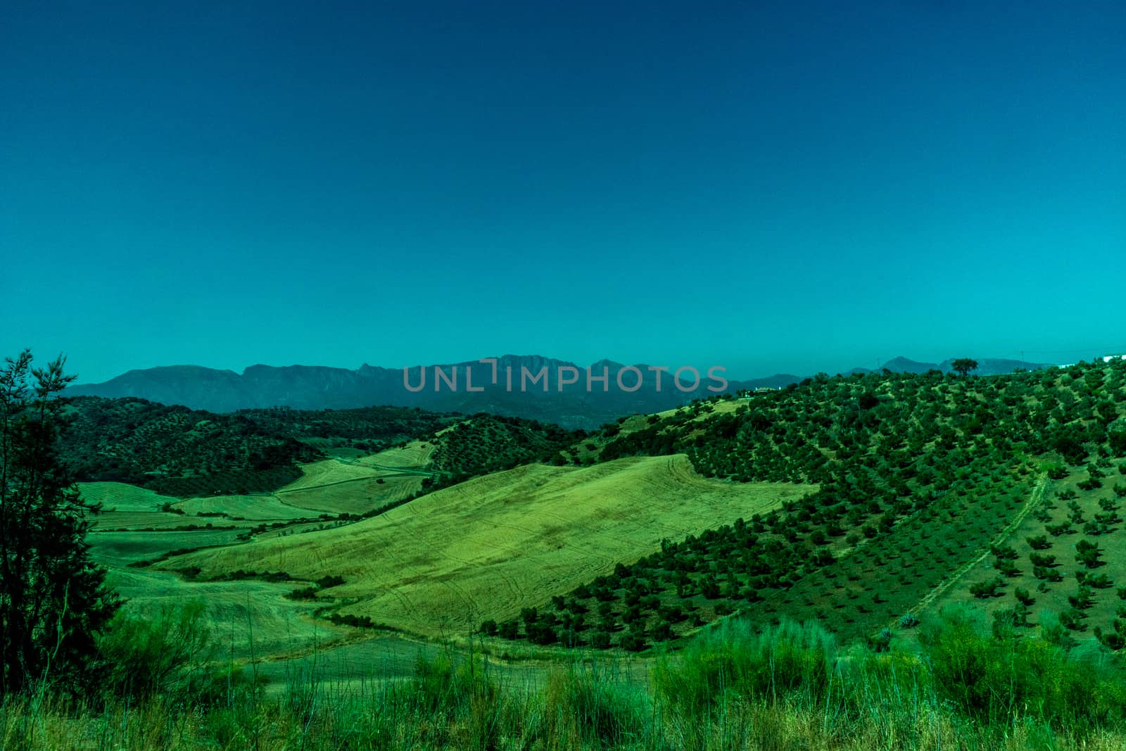 Greenery, Mountains, Farms and Fields on the outskirts of Ronda Spain, Europe on a hot summer day with clear blue skies