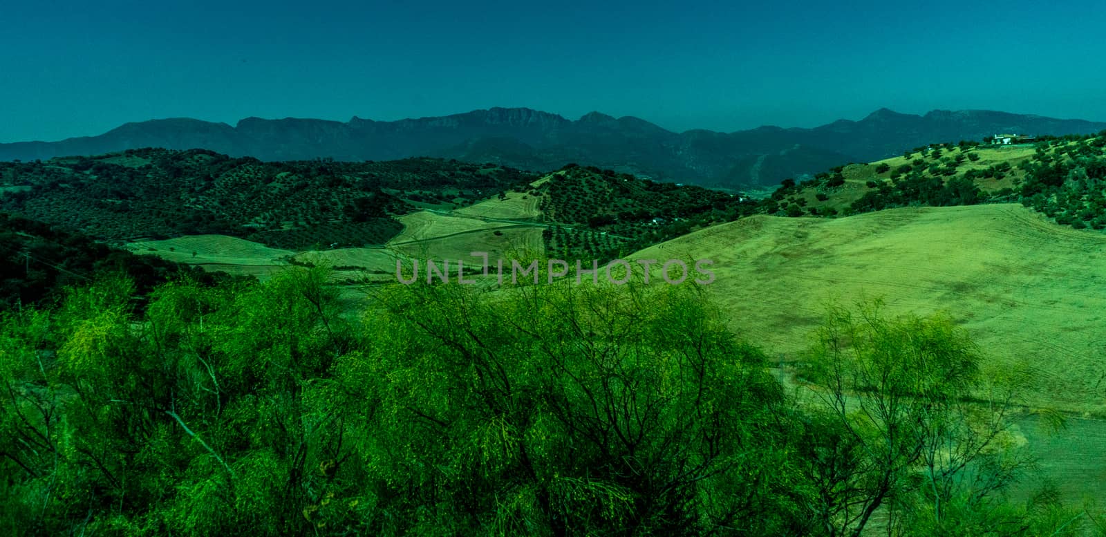 Greenery, Mountains, Farms and Fields on the outskirts of Ronda  by ramana16