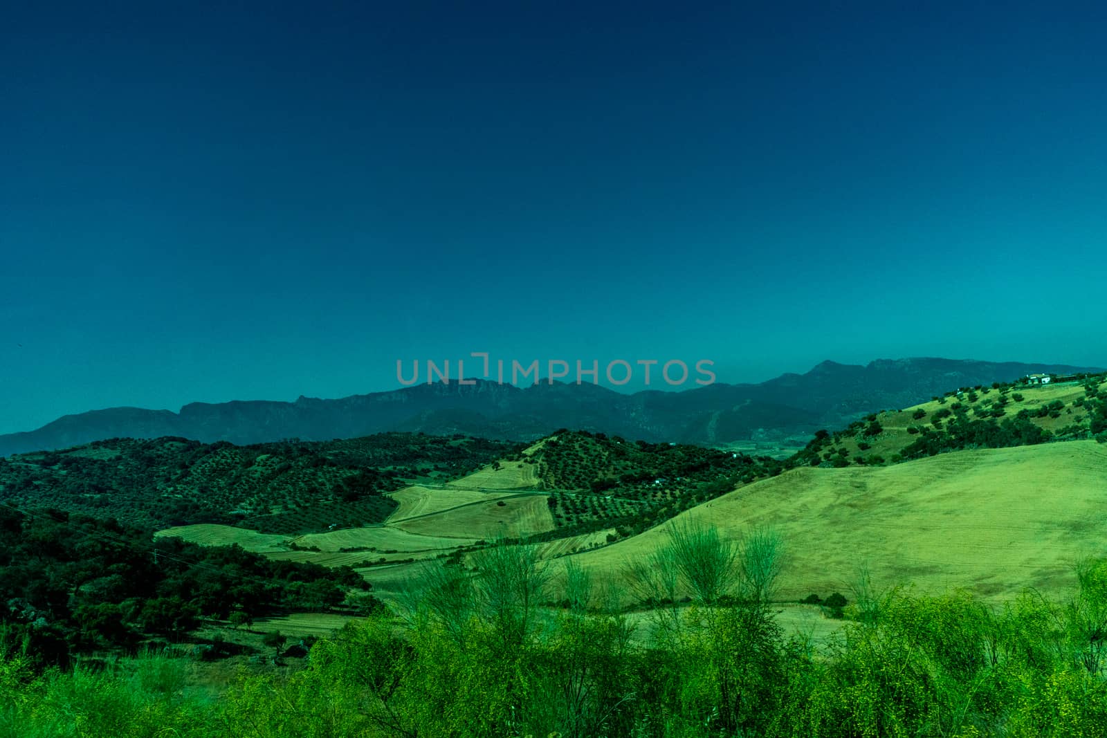 Greenery, Mountains, Farms and Fields on the outskirts of Ronda Spain, Europe on a hot summer day with clear blue skies