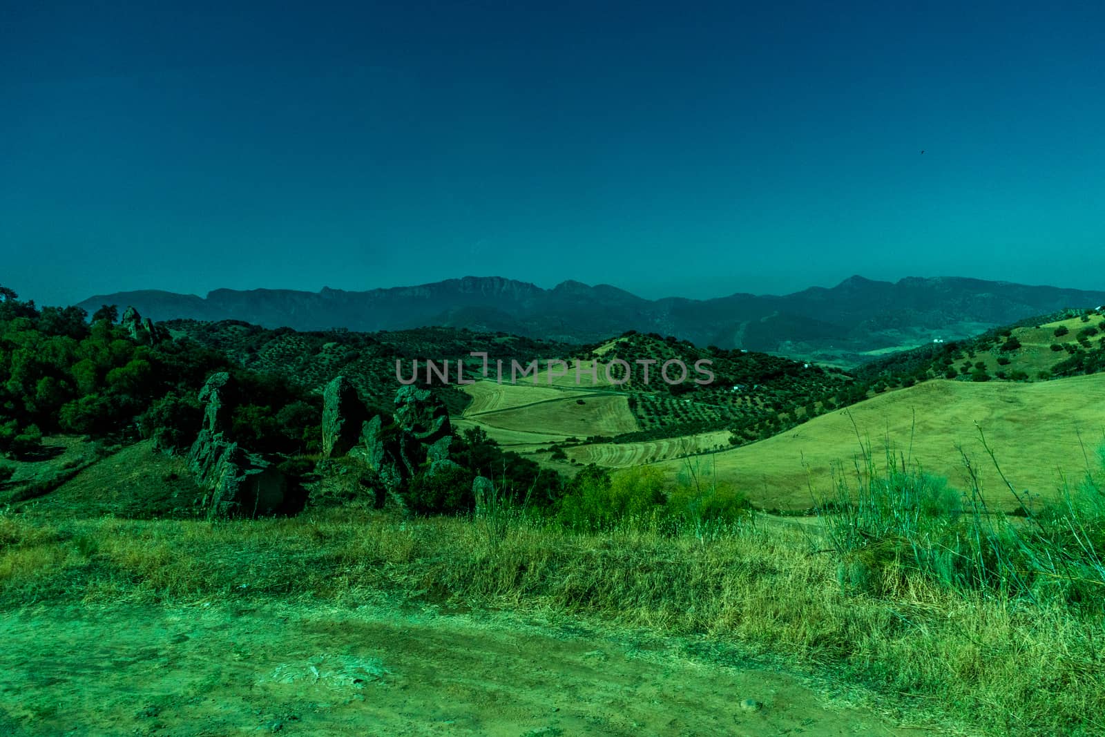 Greenery, Mountains, Farms and Fields on the outskirts of Ronda Spain, Europe on a hot summer day with clear blue skies