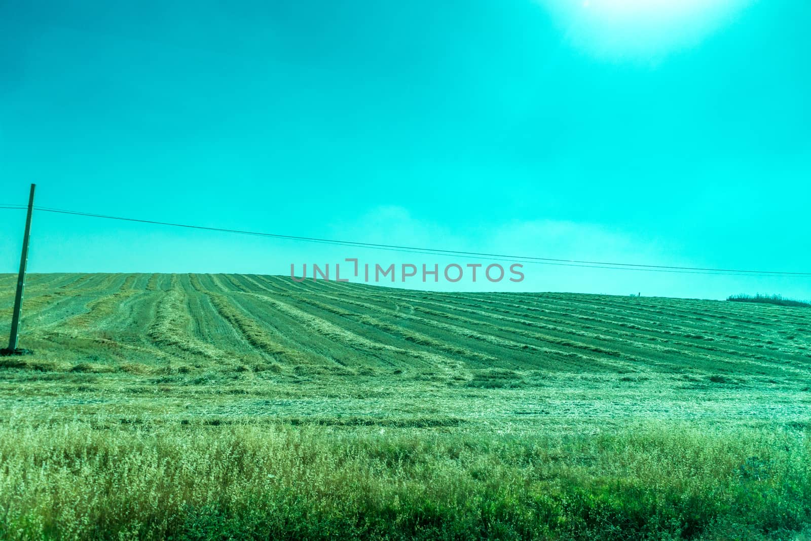 Greenery, Mountains, Farms and Fields on the outskirts of Ronda Spain, Europe on a hot summer day with clear blue skies