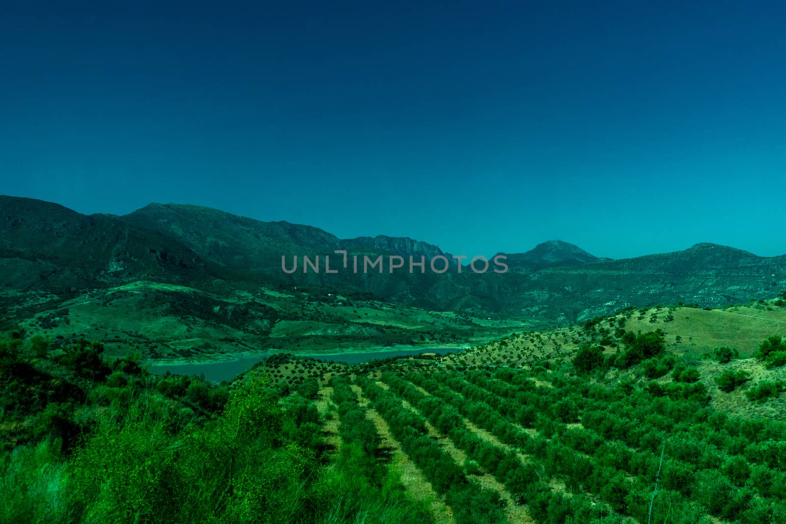 Greenery, Mountains, Farms and Fields on the outskirts of Ronda Spain, Europe on a hot summer day with clear blue skies