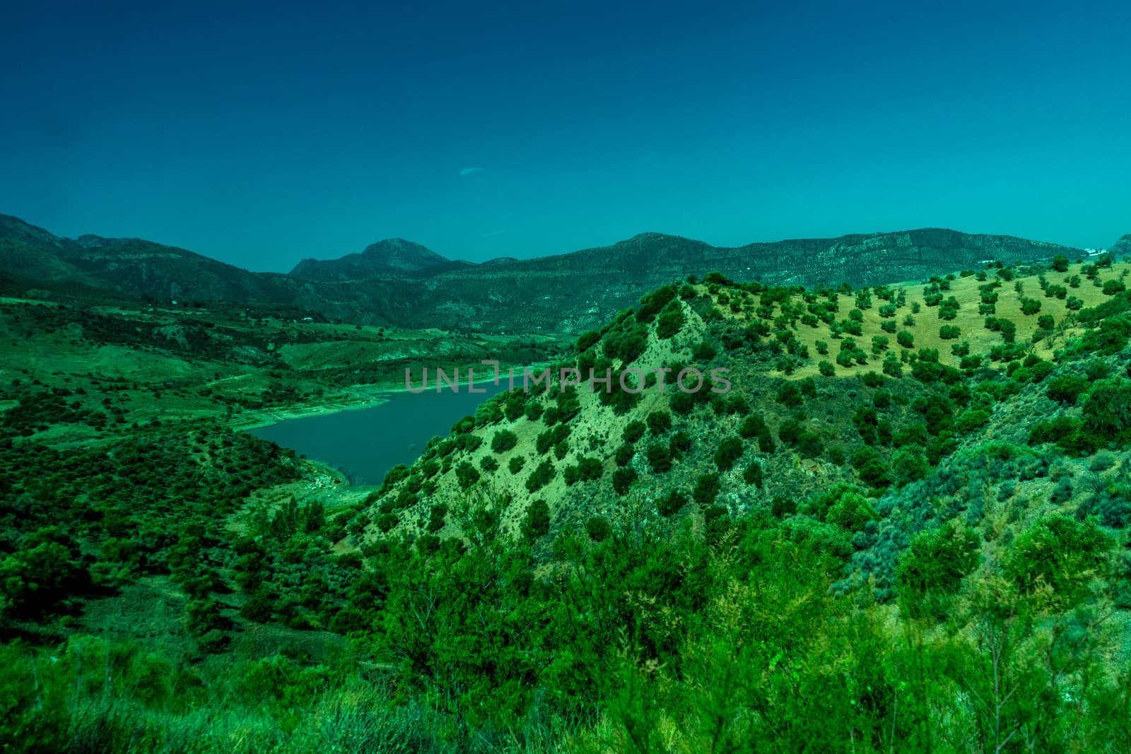 Greenery, Mountains, Farms and Fields on the outskirts of Ronda Spain, Europe on a hot summer day with clear blue skies