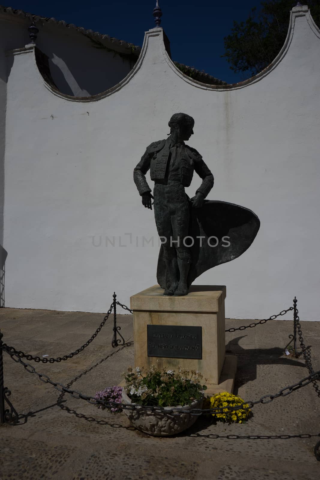 A bull fighter matador statue in the city of of Ronda Spain, Europe on a hot summer day with clear blue skies with a palm tree in the front