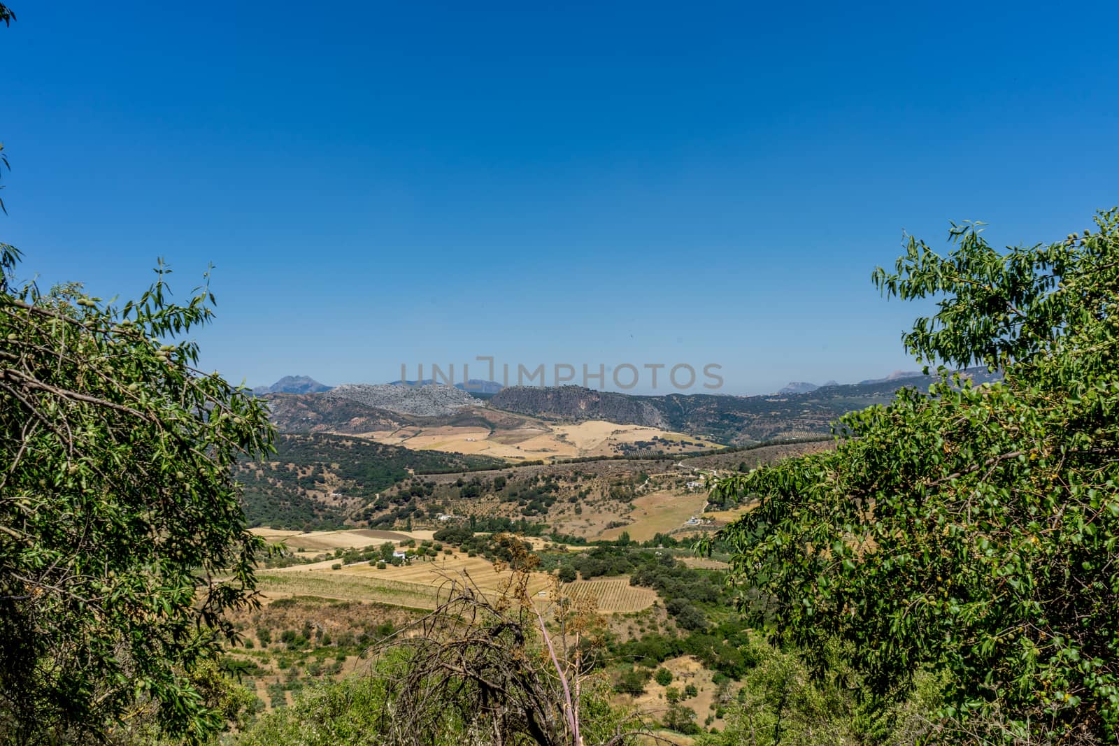 A gorge in the city of Ronda Spain, Europe on a hot summer day by ramana16