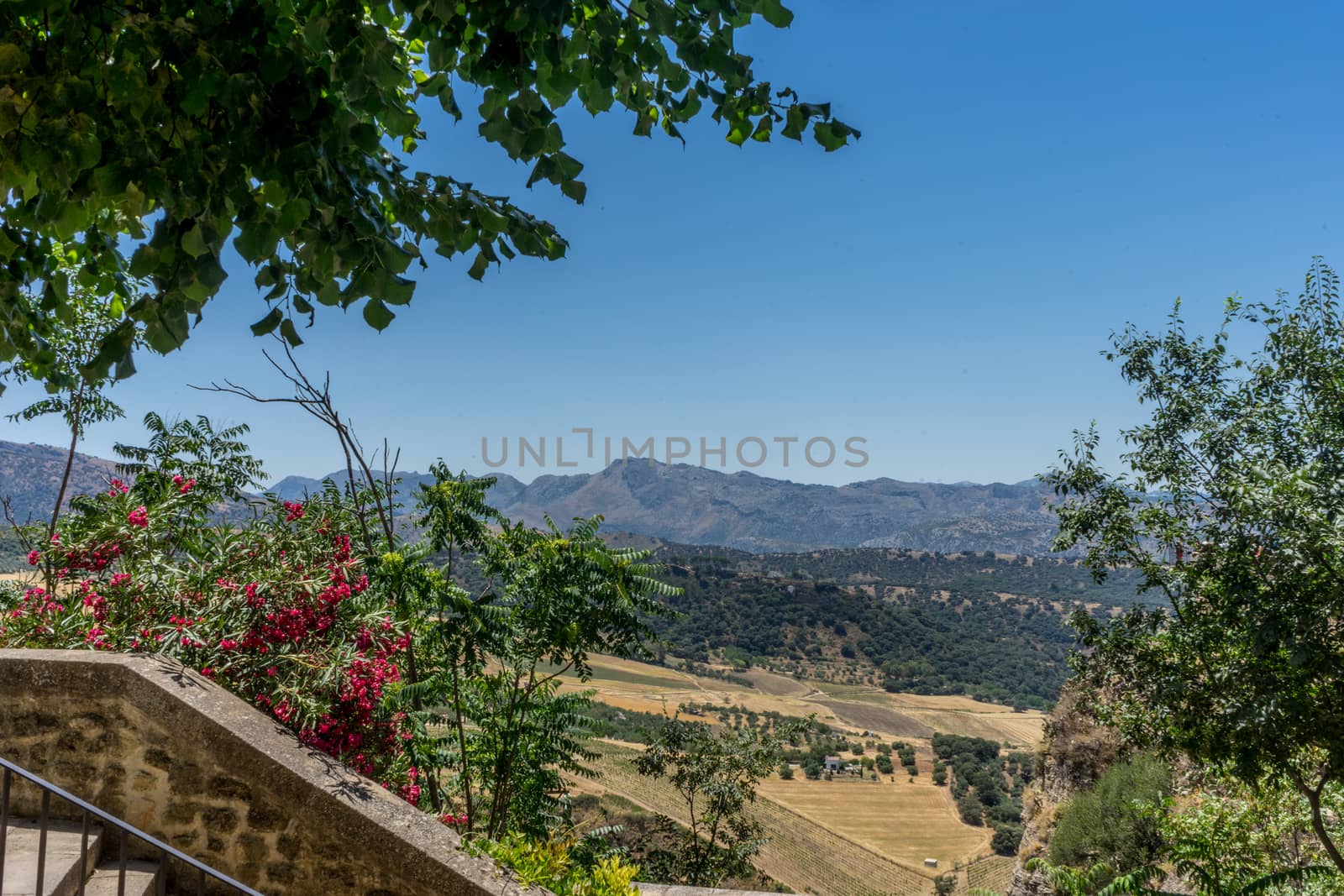 A gorge in the city of Ronda Spain, Europe on a hot summer day with clear blue skies