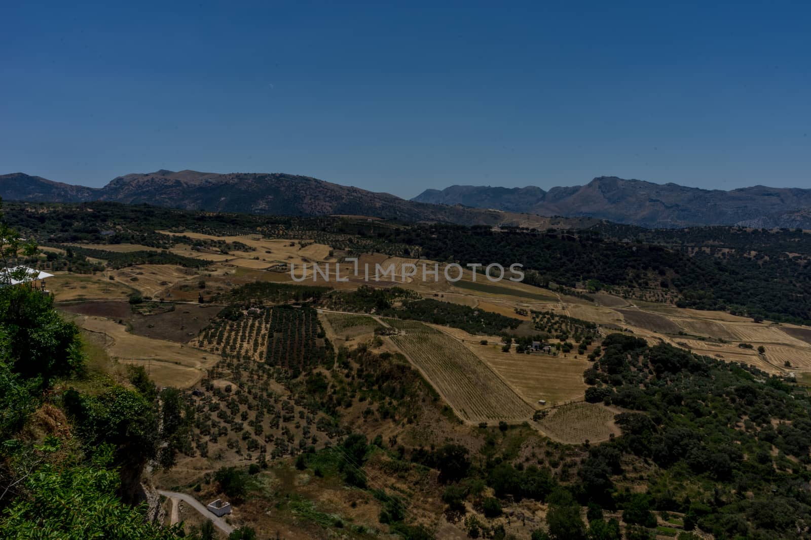 Greenery, Mountains, Farms and Fields on the outskirts of Ronda  by ramana16