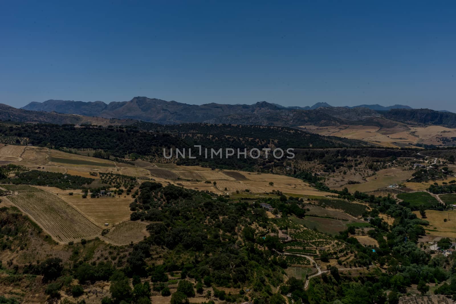 Greenery, Mountains, Farms and Fields on the outskirts of Ronda Spain, Europe on a hot summer day with clear blue skies