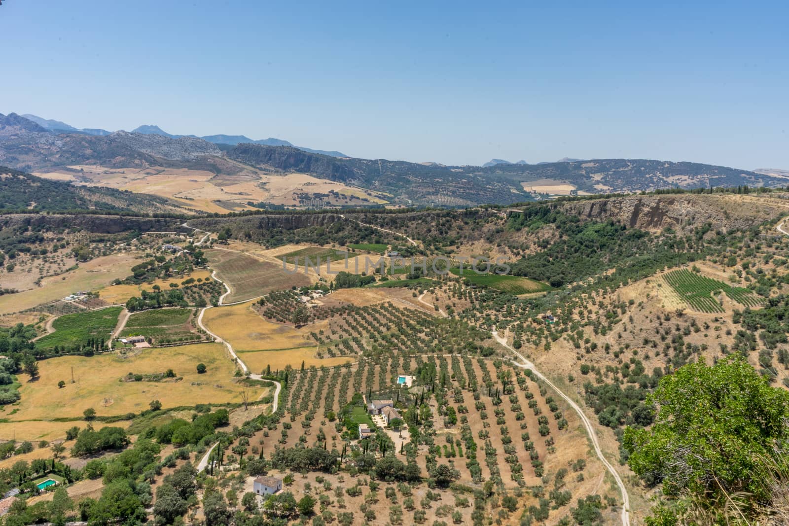 Greenery, Mountains, Farms and Fields on the outskirts of Ronda Spain, Europe on a hot summer day with clear blue skies