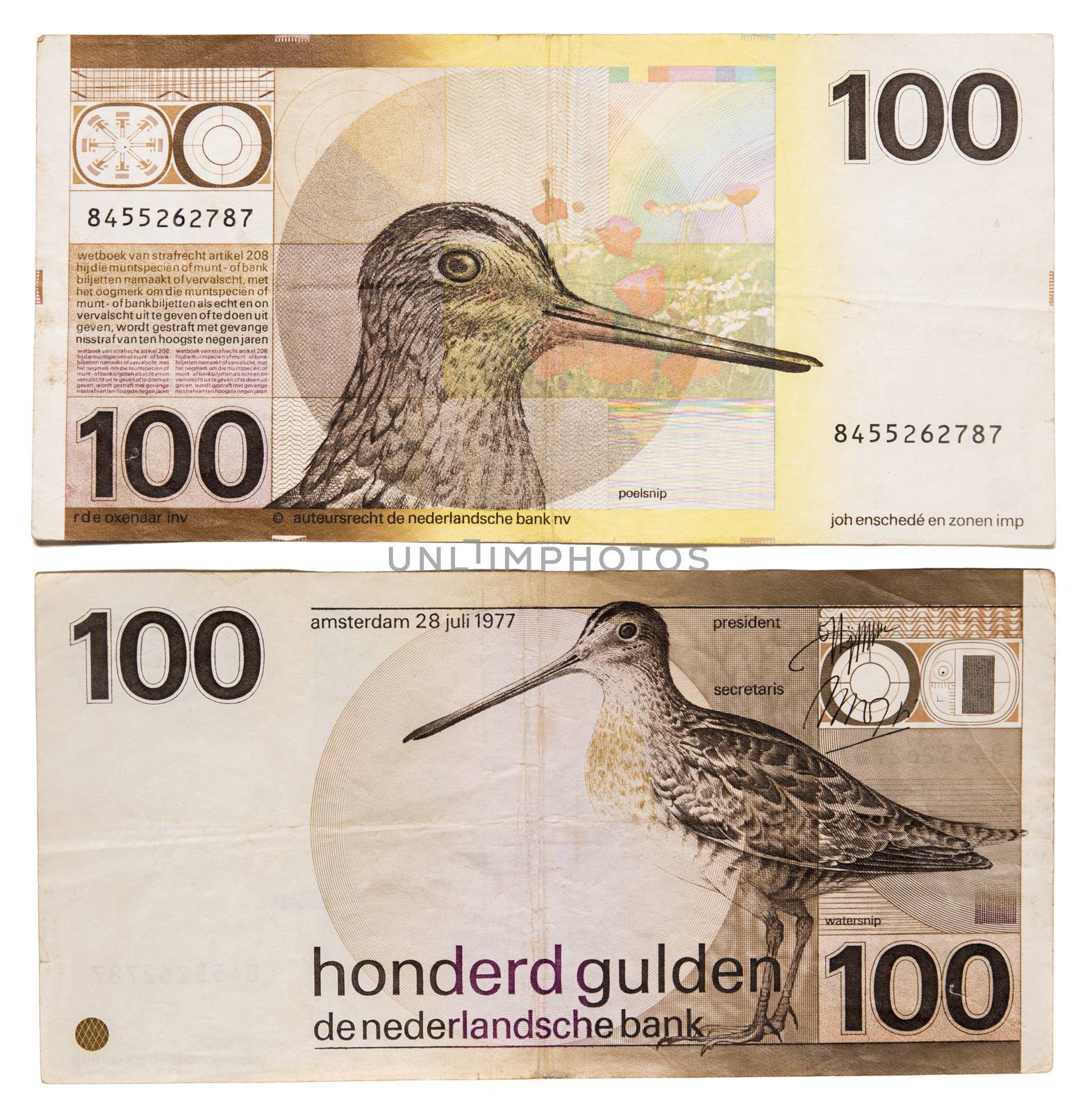 Obsolete Netherlands bank notes isolated on a white background.
