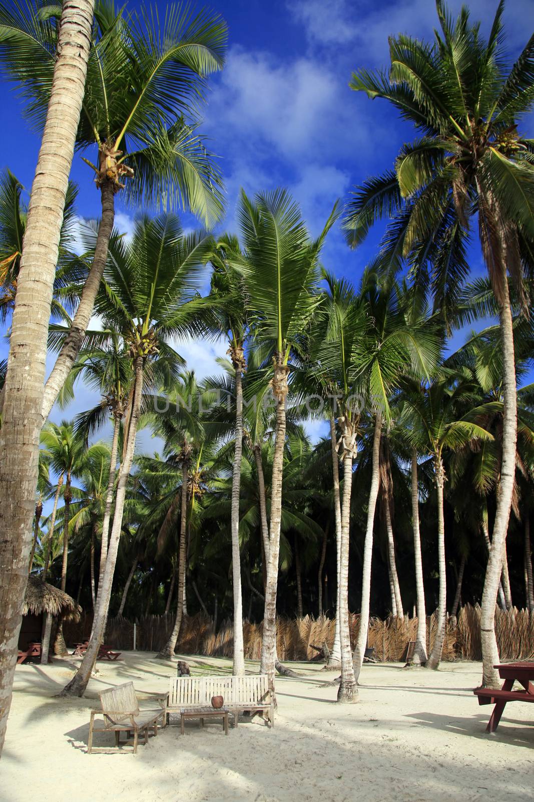 Saona island beach by friday