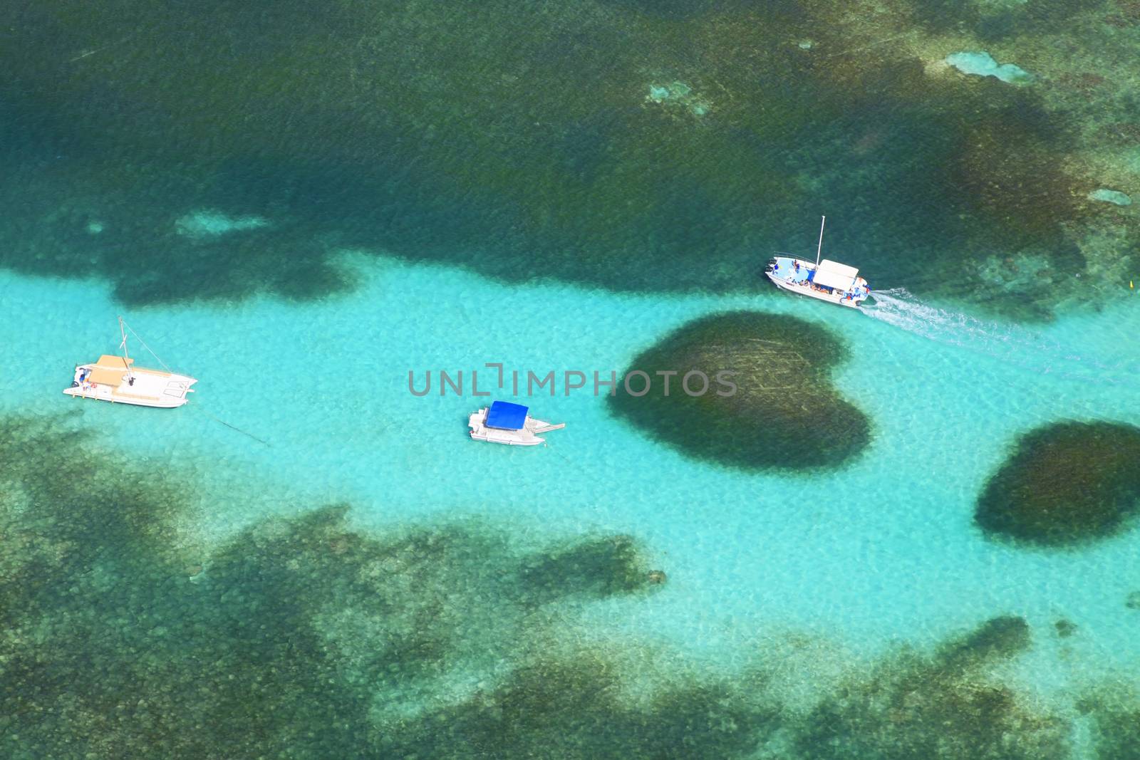 Aerial view of the Heart reef in the ocean. Dominican Republic