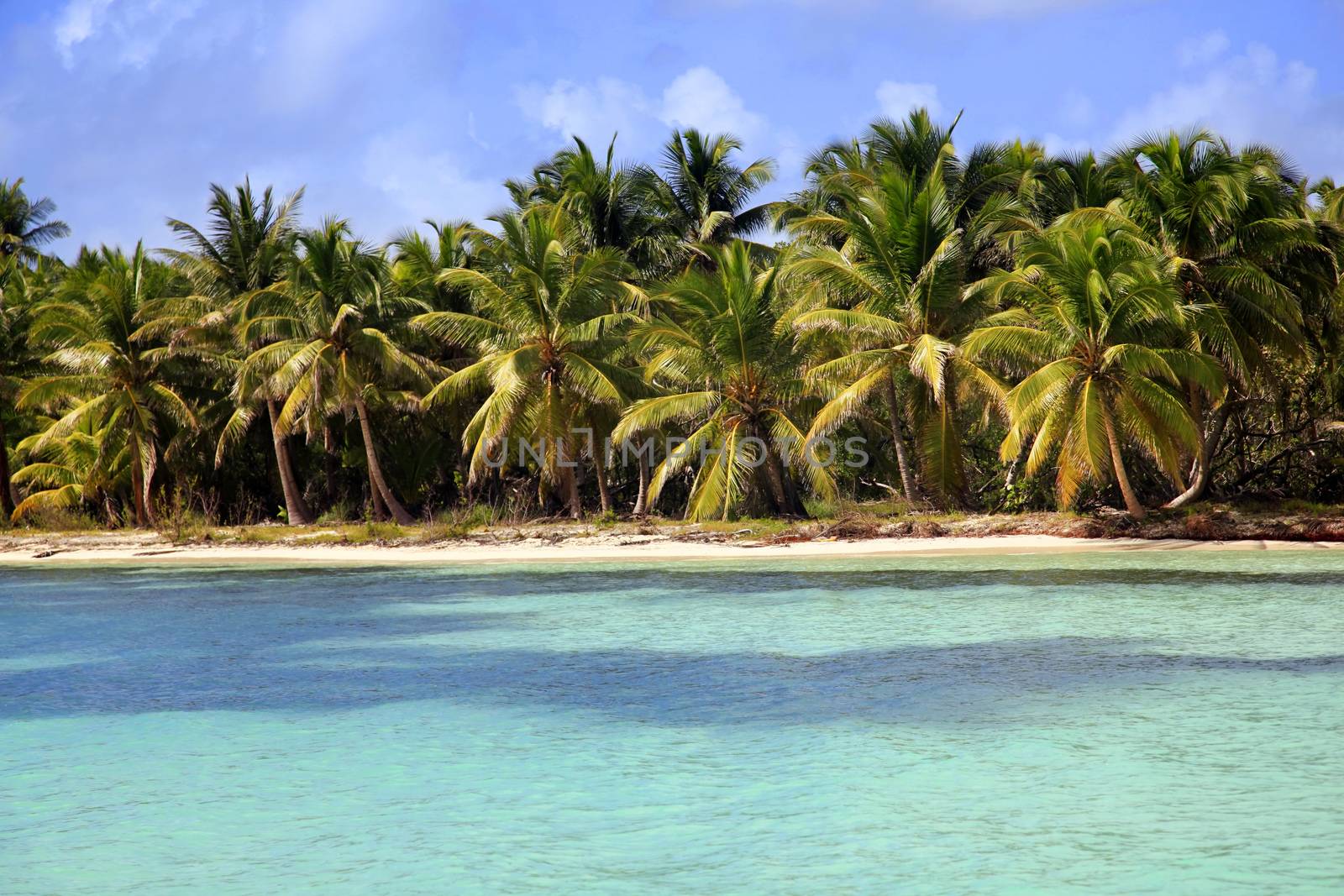 Saona island beach. Dominican Republic