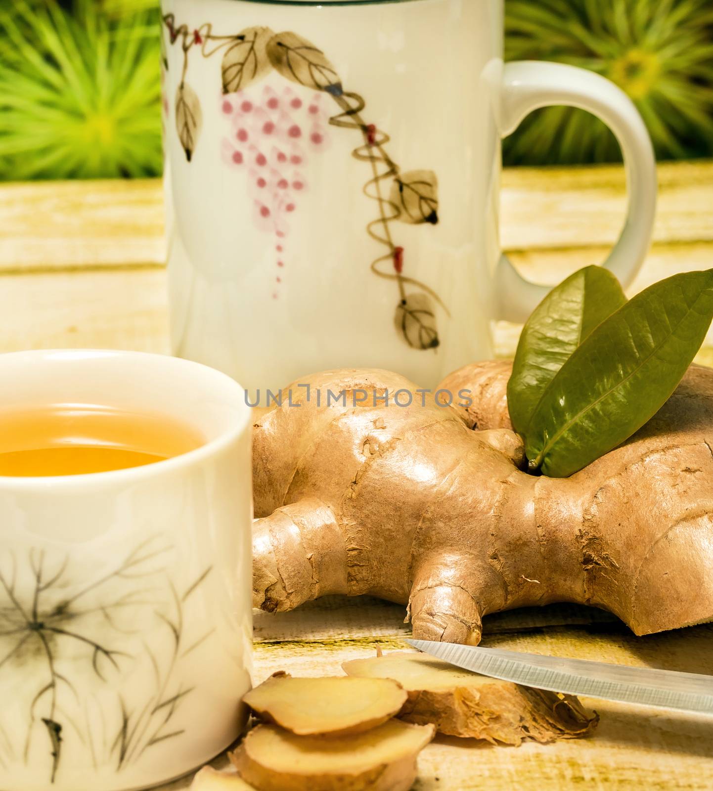 Outdoor Ginger Tea Meaning Refresh Refreshments And Herbal