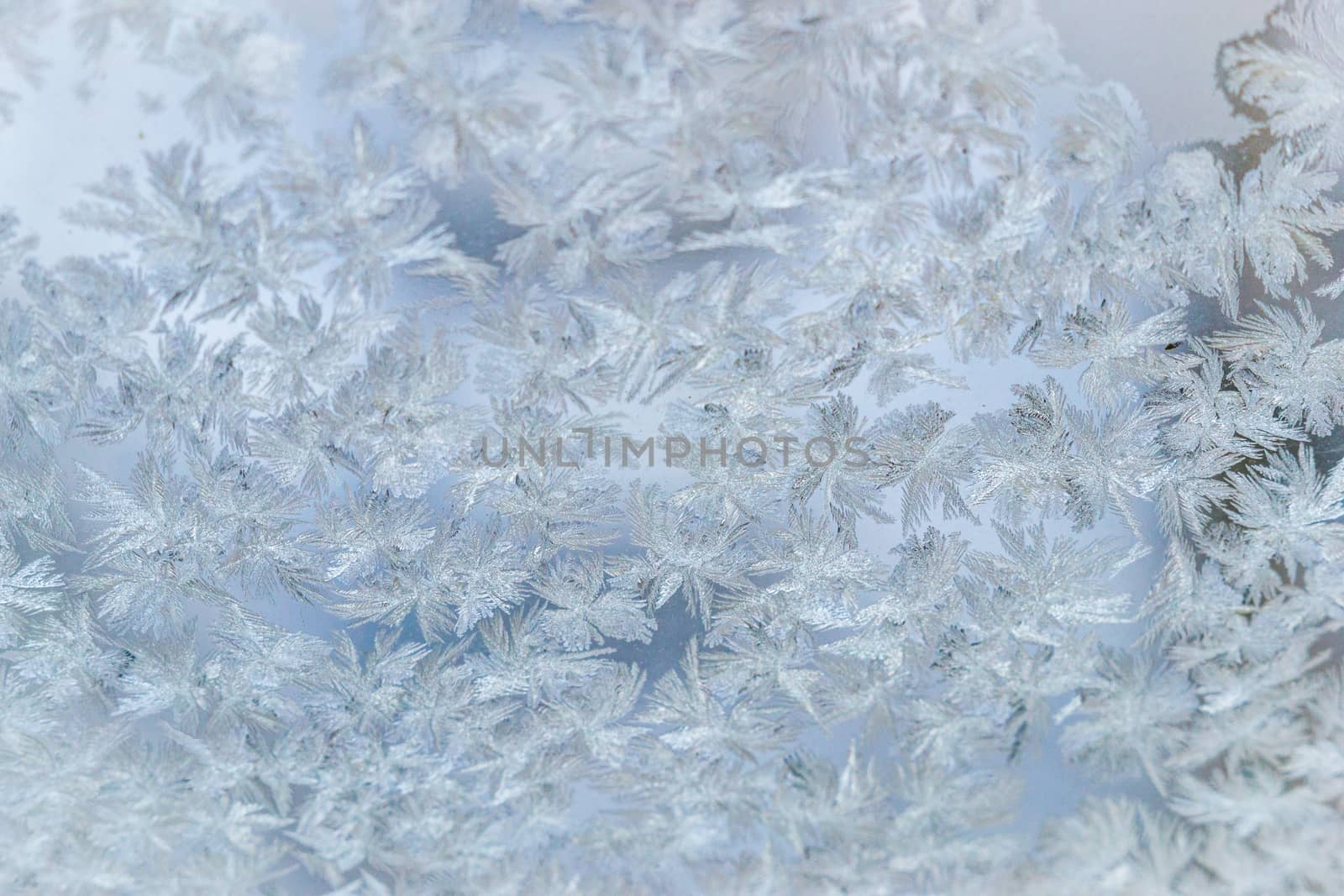 frozen window large by darksoul72