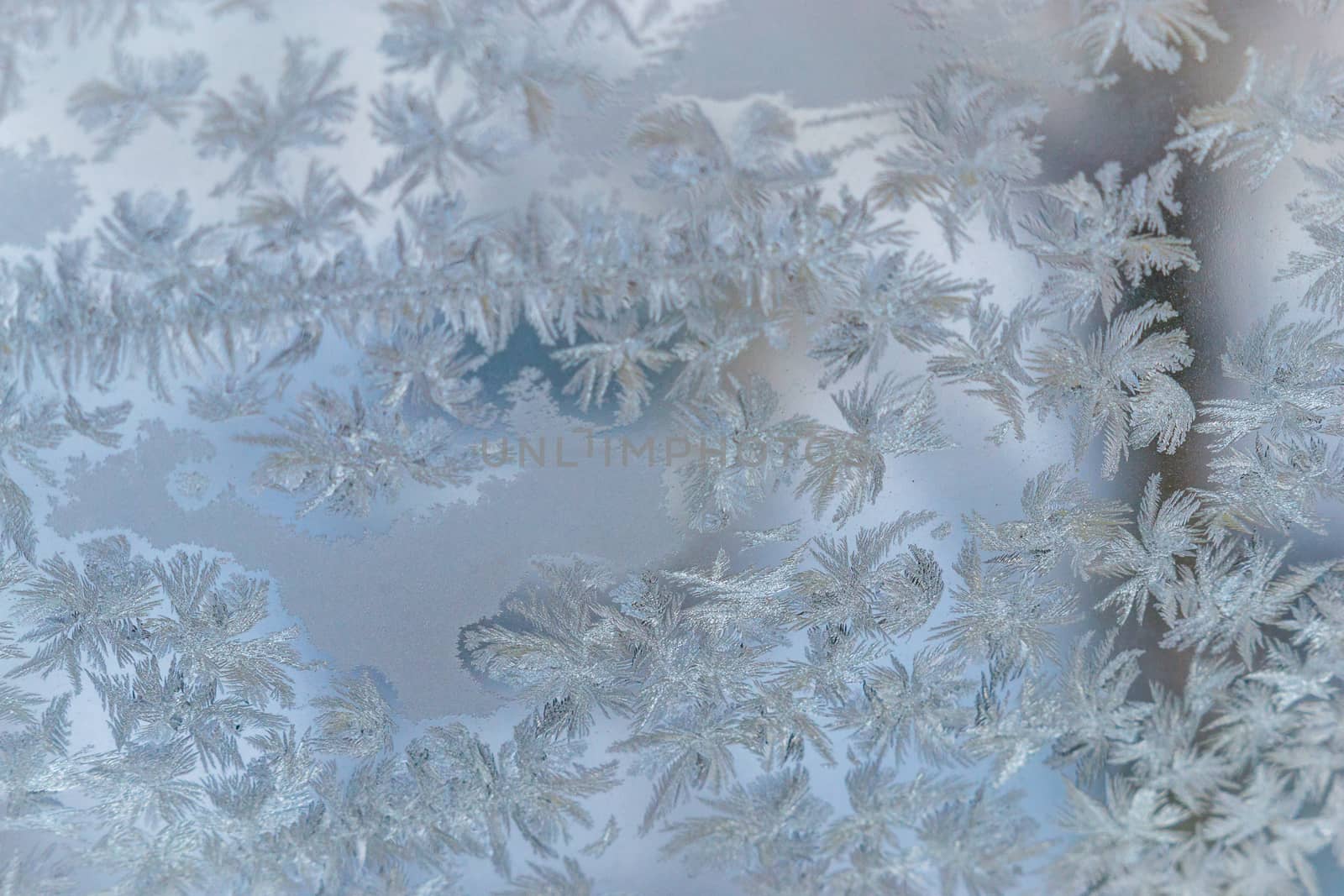 winter window close-up snow patterns on the Windows of frost, snow city