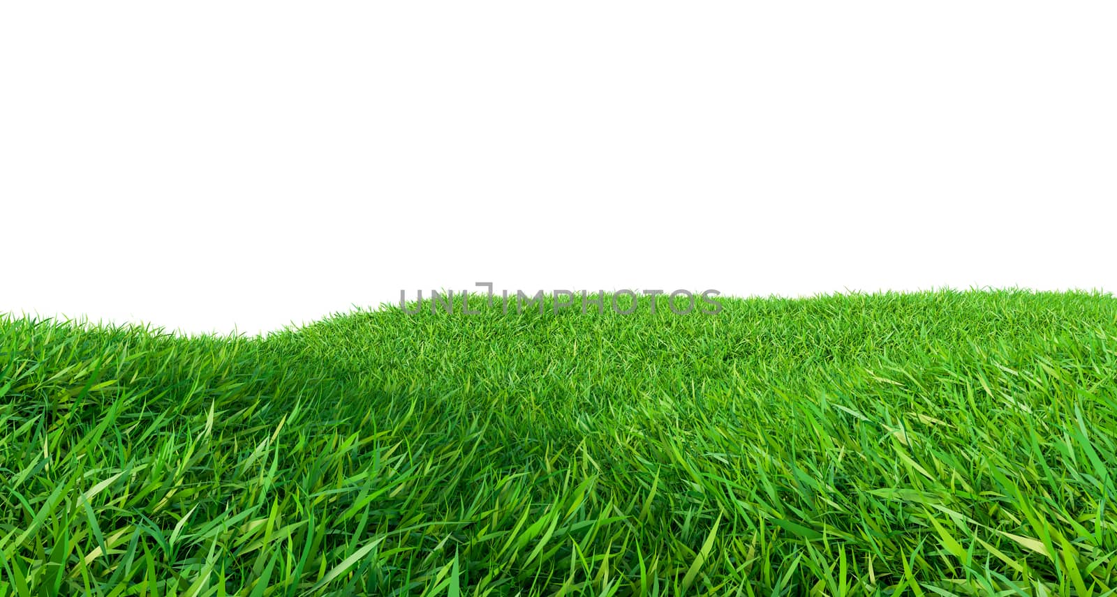 Green grass field on small hills, isolated on white background. 3d illustration