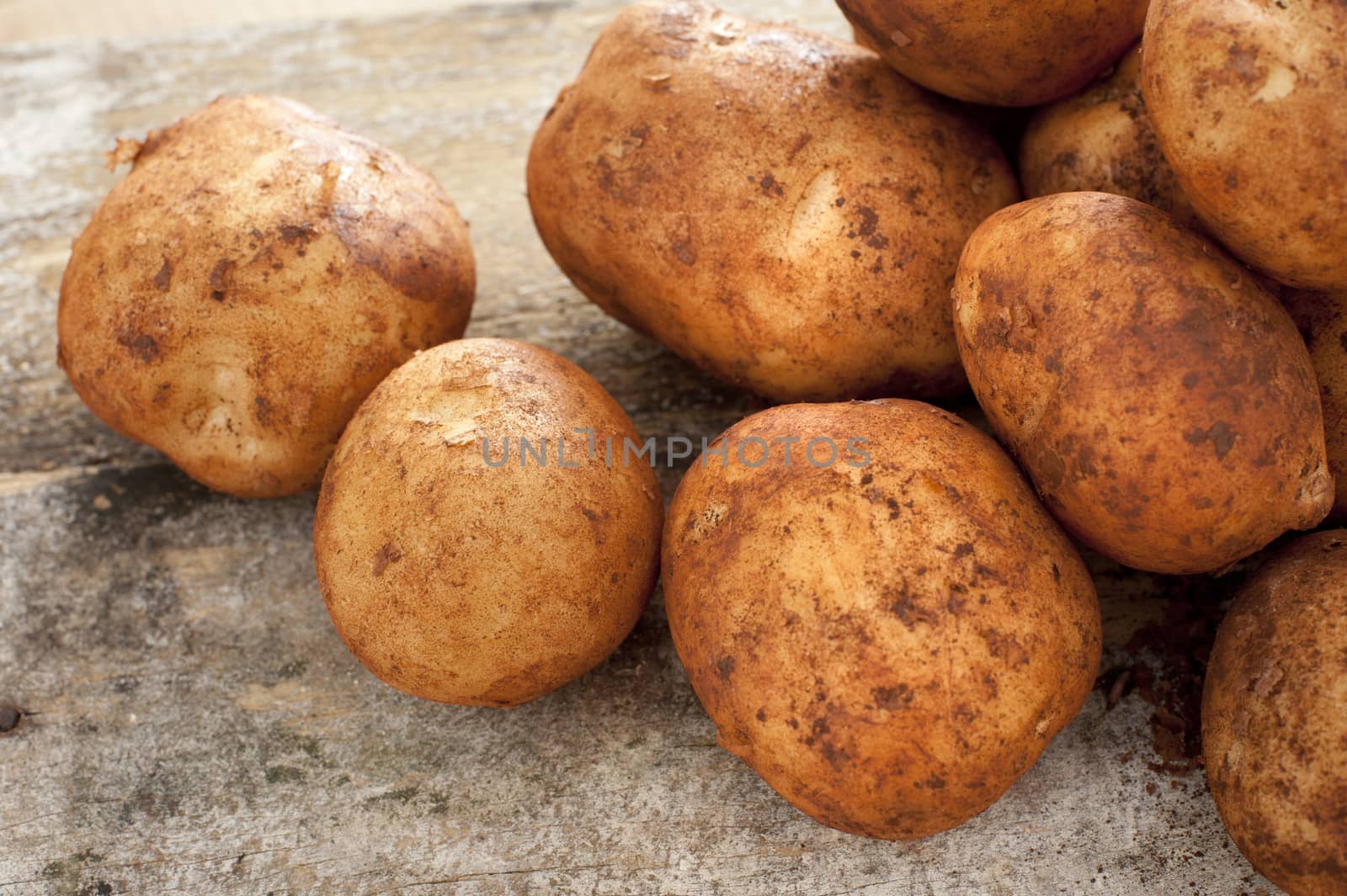 Close up on washed raw yellow potatoes over gritty table