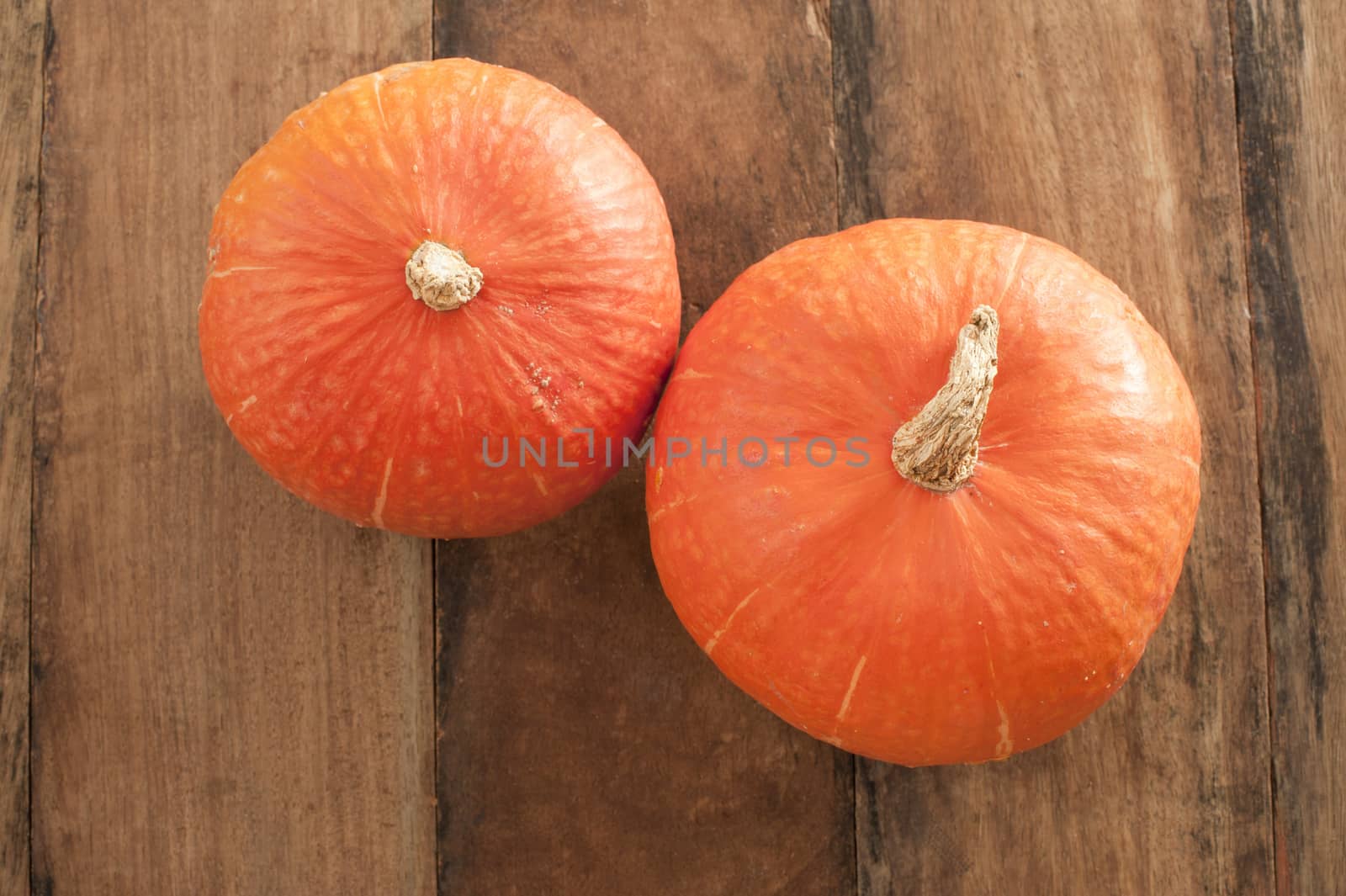 Top down view on small orange pumpkins over wooden background for concept about autumn season produce or Halloween