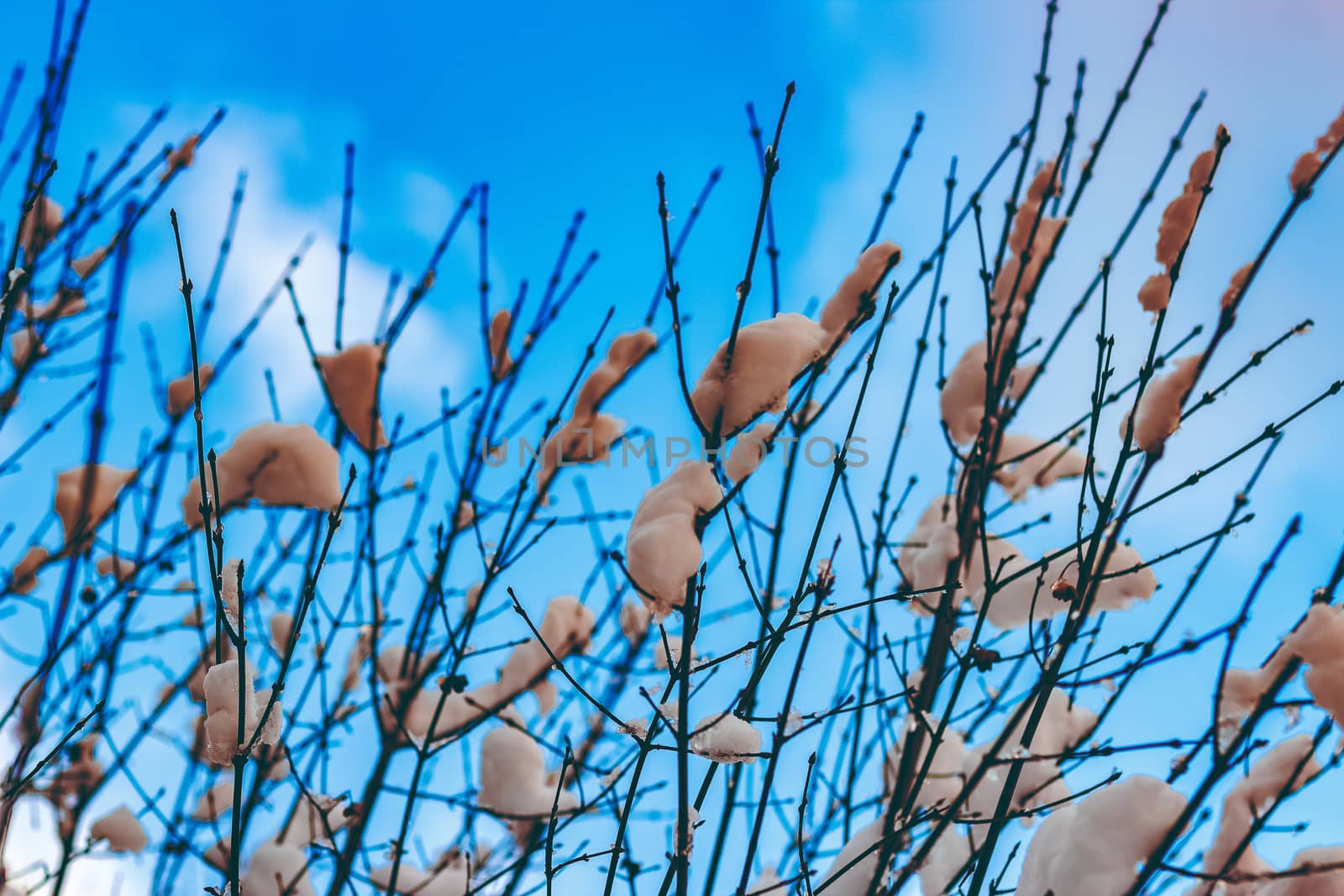 Snowy winter landscape by sengnsp