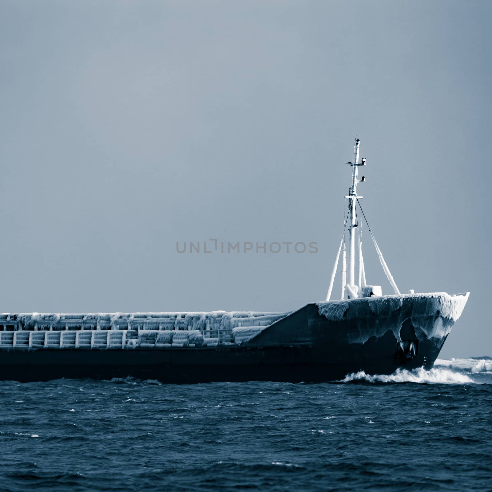Blue bulk carrier moving from the sea in cold winter. Monochrome