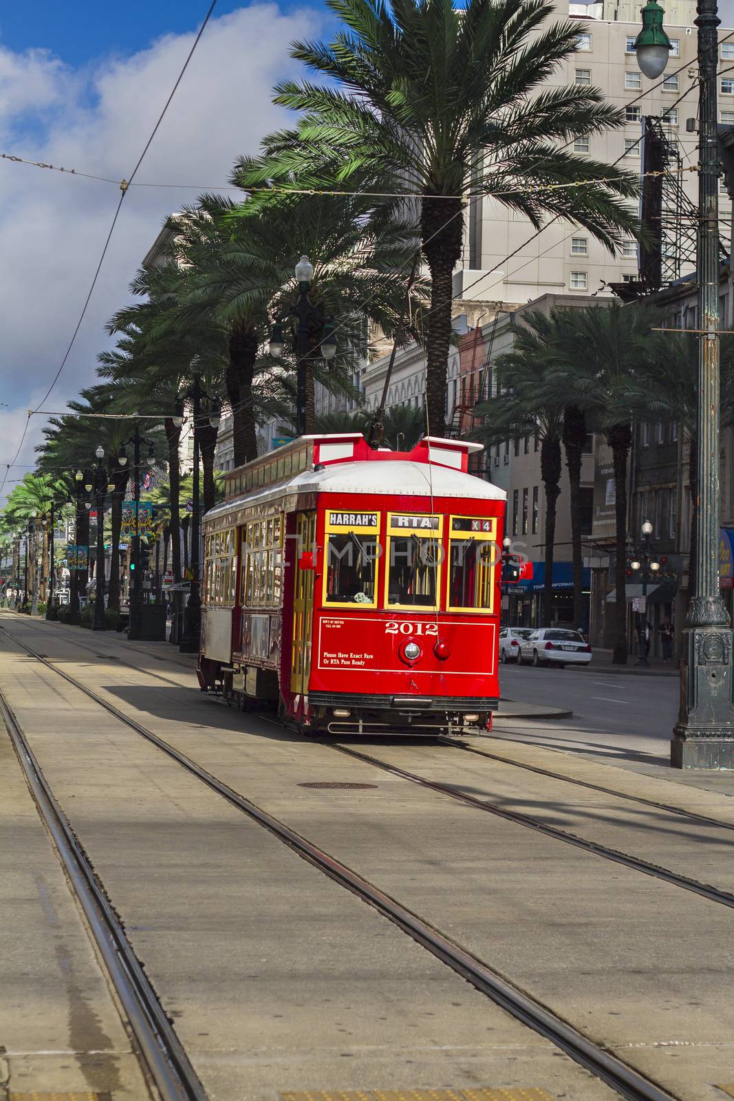 A streetcar among the palm trees lining Canal Street in New 