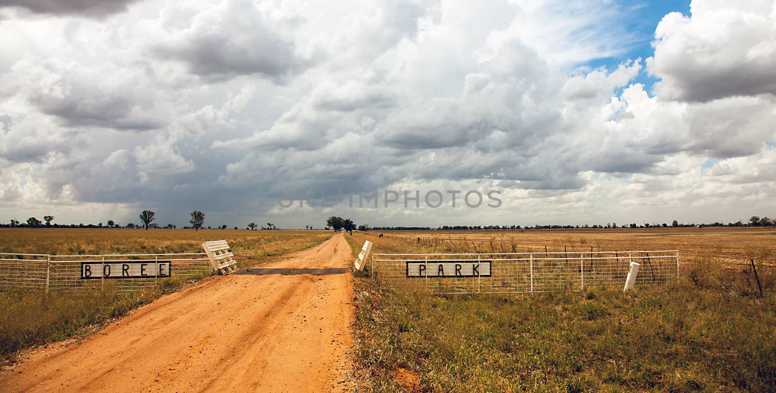 Boree Park Outback at Dubbo New South Wales Australia by Makeral