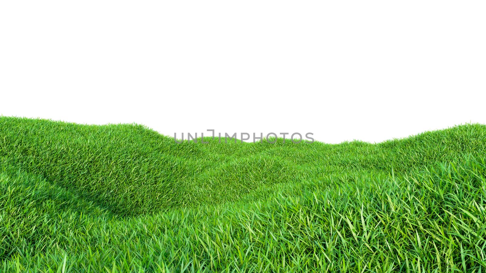 Green grass field on small hills, isolated by cherezoff