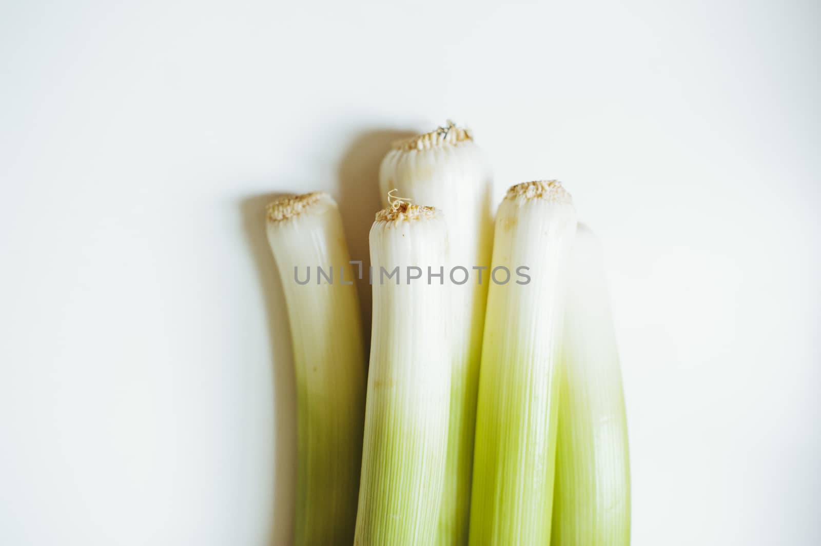 still life of vegetable leeks on white background