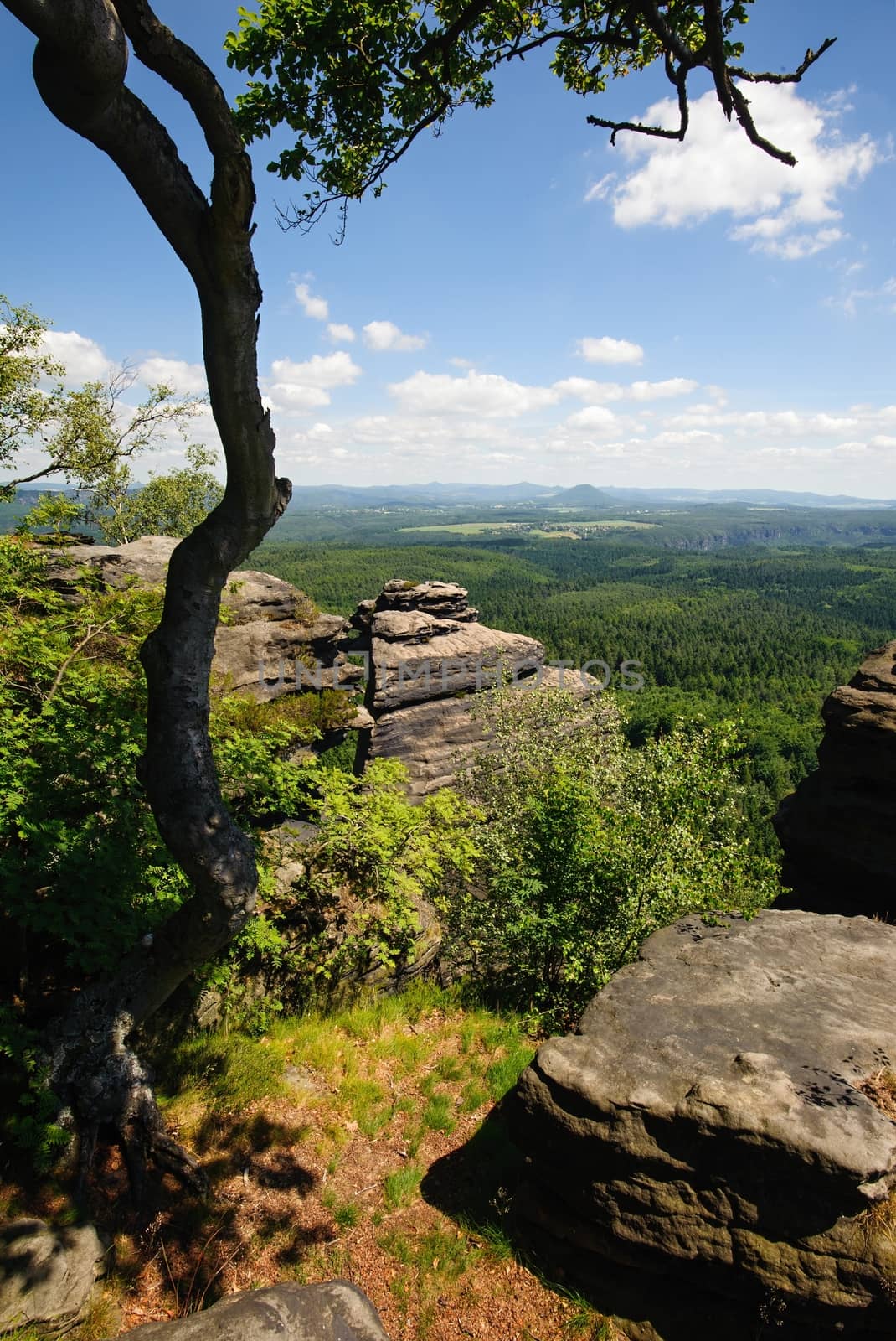 Summer landscape with forests, meadows rocks and sky