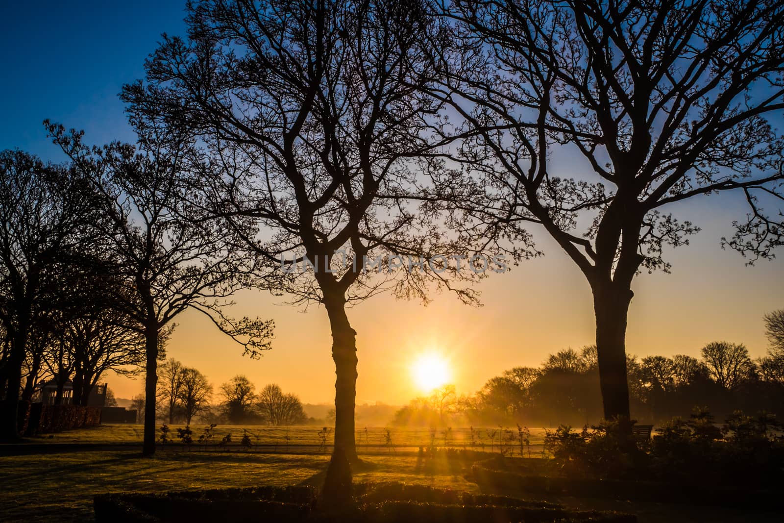 Sunrise in a foggy morning at Sandwell Valley Country Park