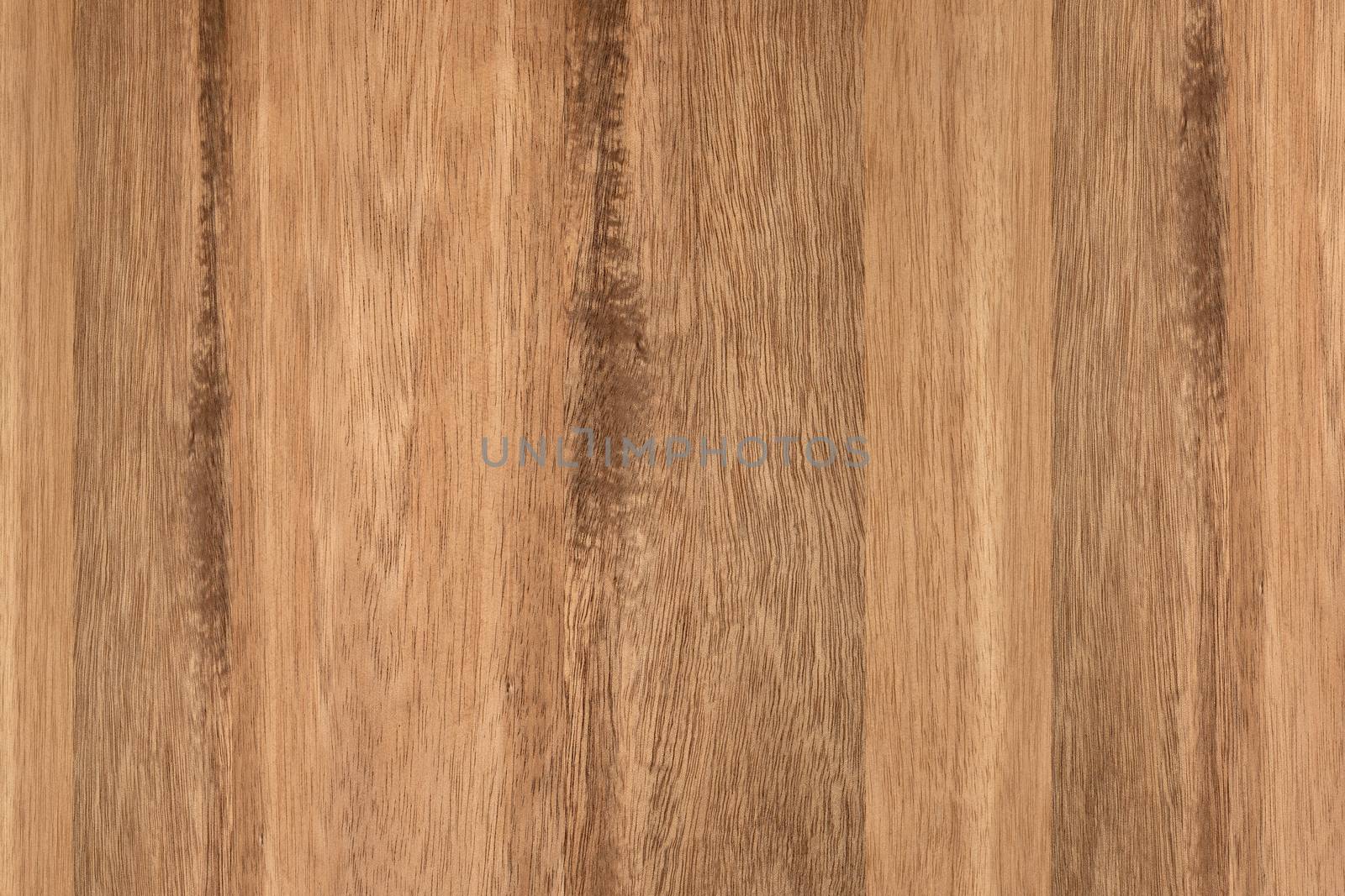 Wood texture with natural patterns, brown wooden texture