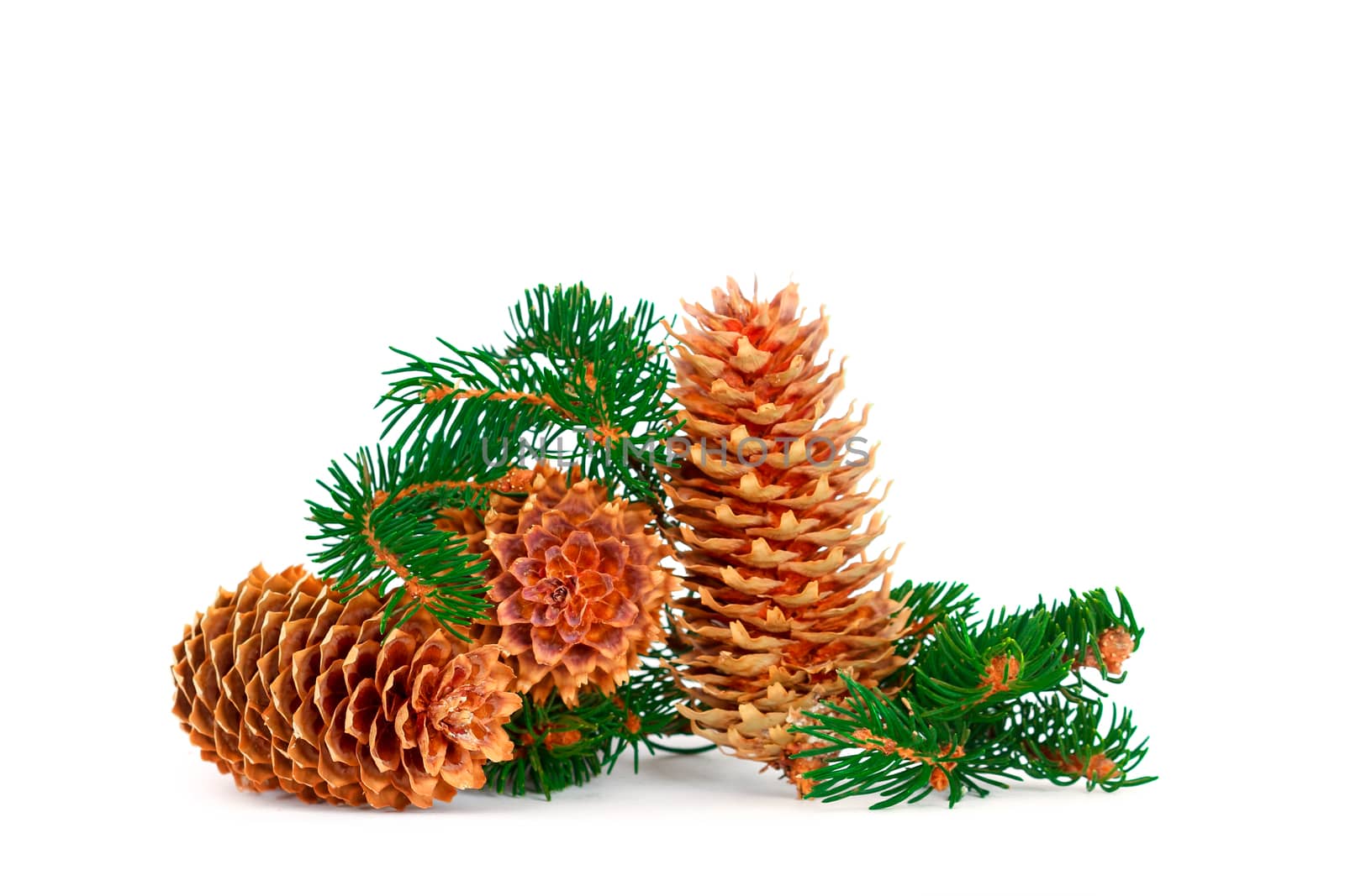 Three pine cones and green branches in a Christmas decoration arrangement