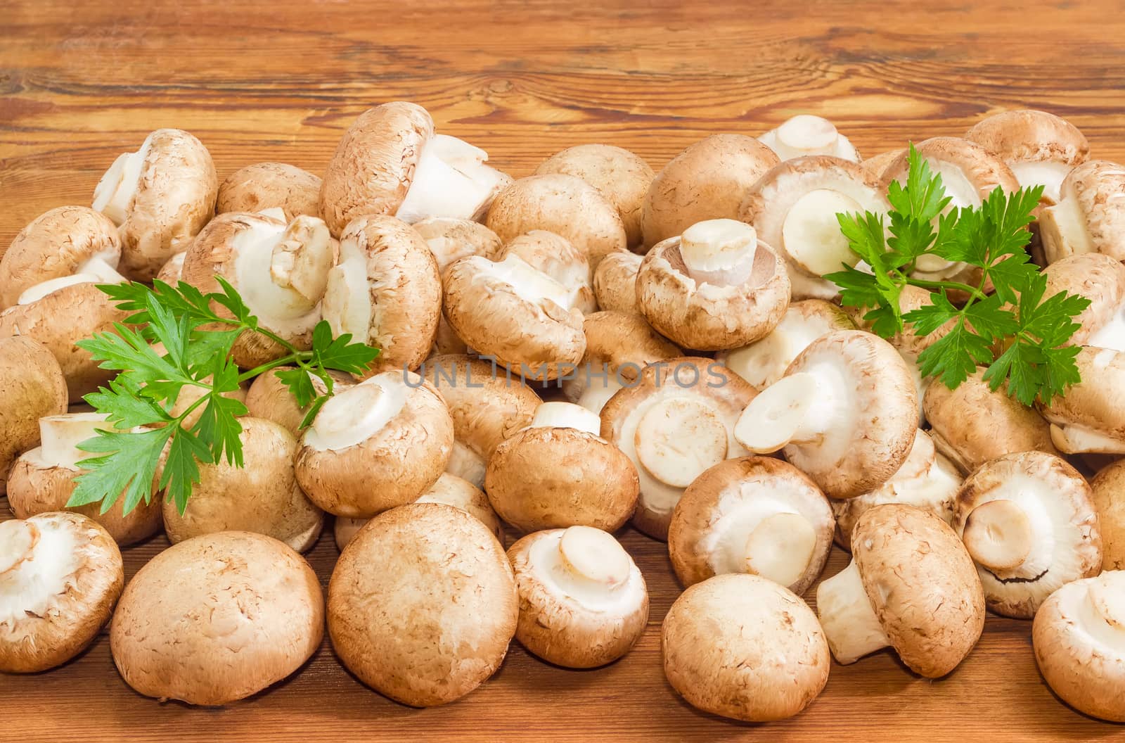 Pile of the fresh whole uncooked edible mushrooms with twigs of the parsley on a surface of the old wooden planks
