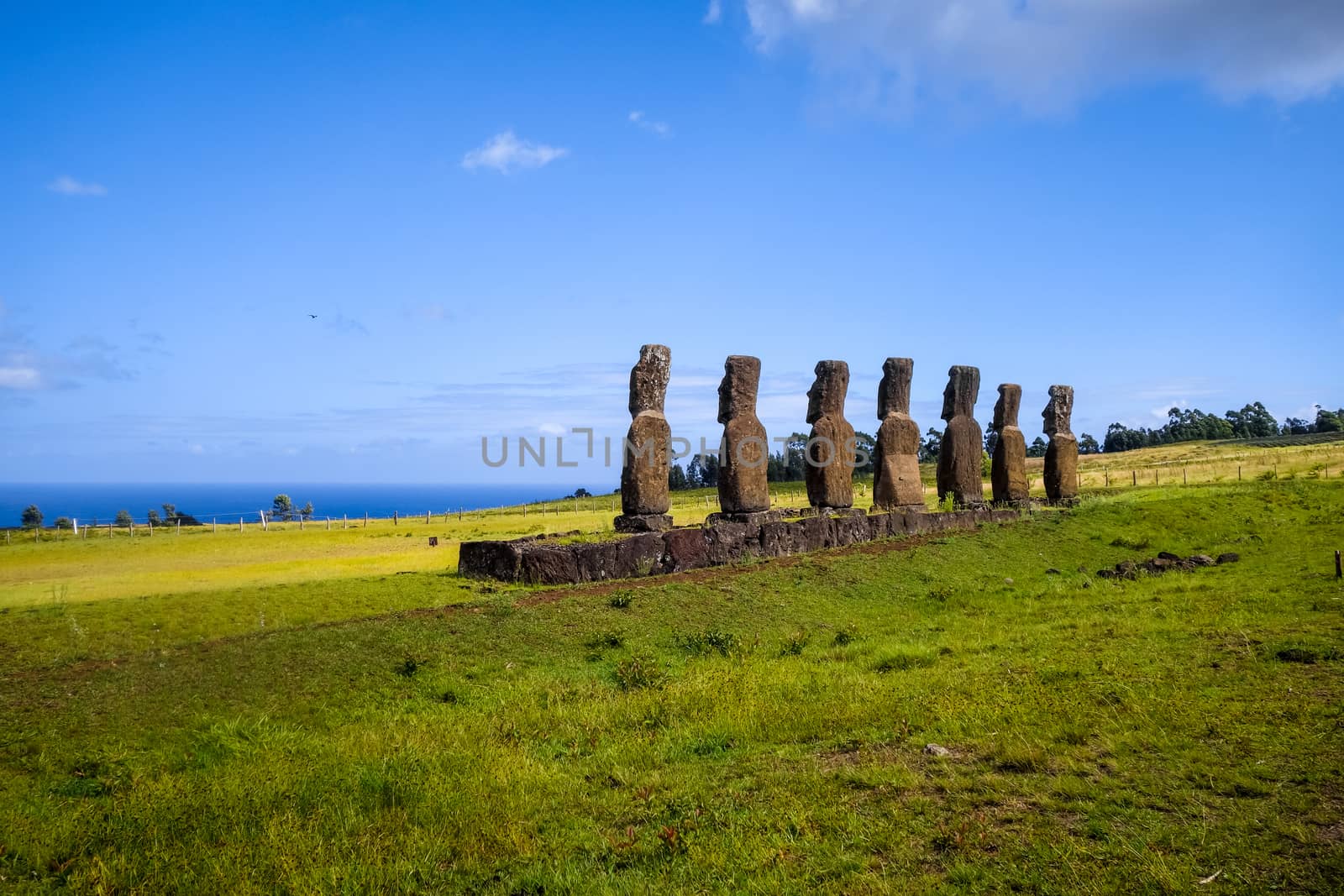 Moais statues, ahu Akivi, easter island by daboost