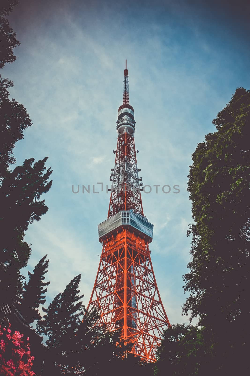 Tokyo tower on a blue sky background, Japan