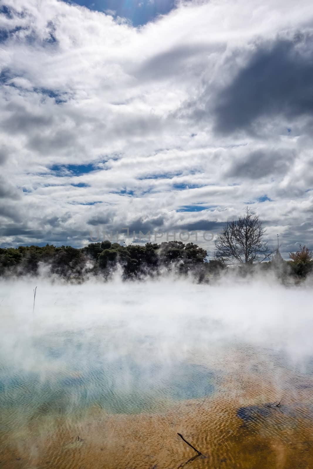 Hot springs lake in Rotorua, New Zealand by daboost