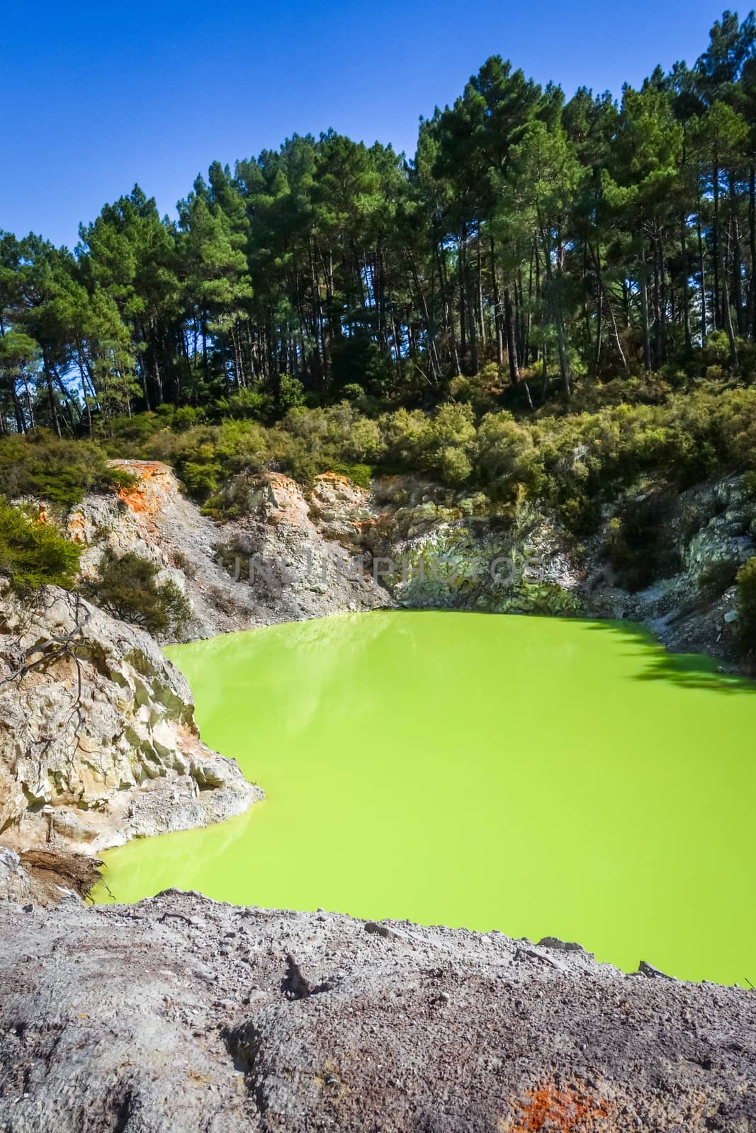 Green lake in Waiotapu, Rotorua, New Zealand by daboost